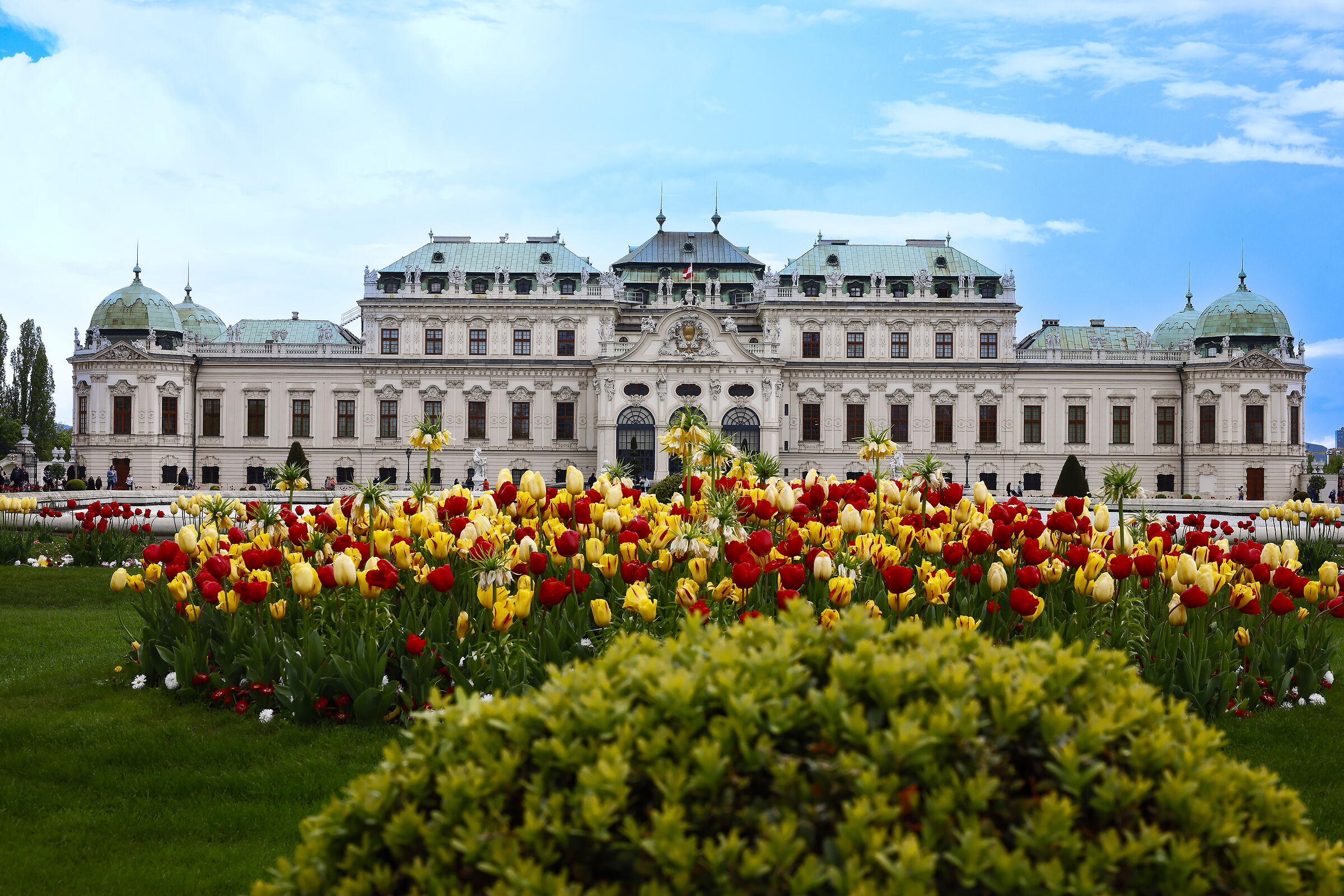 Vienna tra i fiori