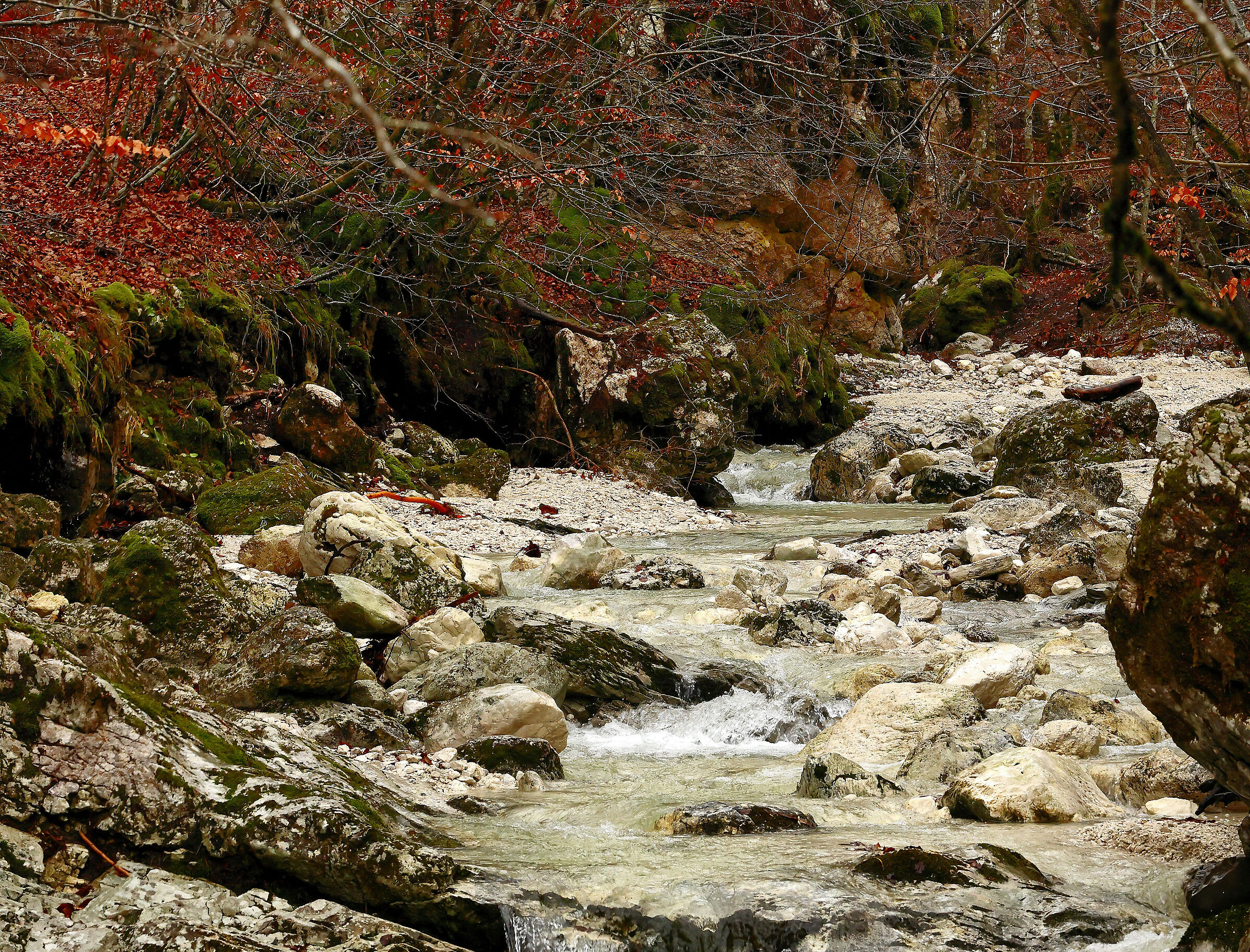 Quando la natura va a dormire...