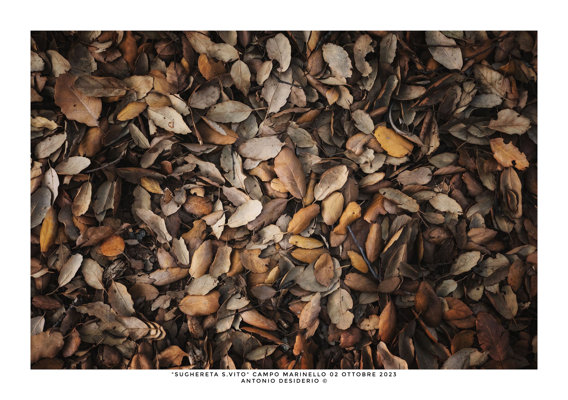 Beauty is everywhere...