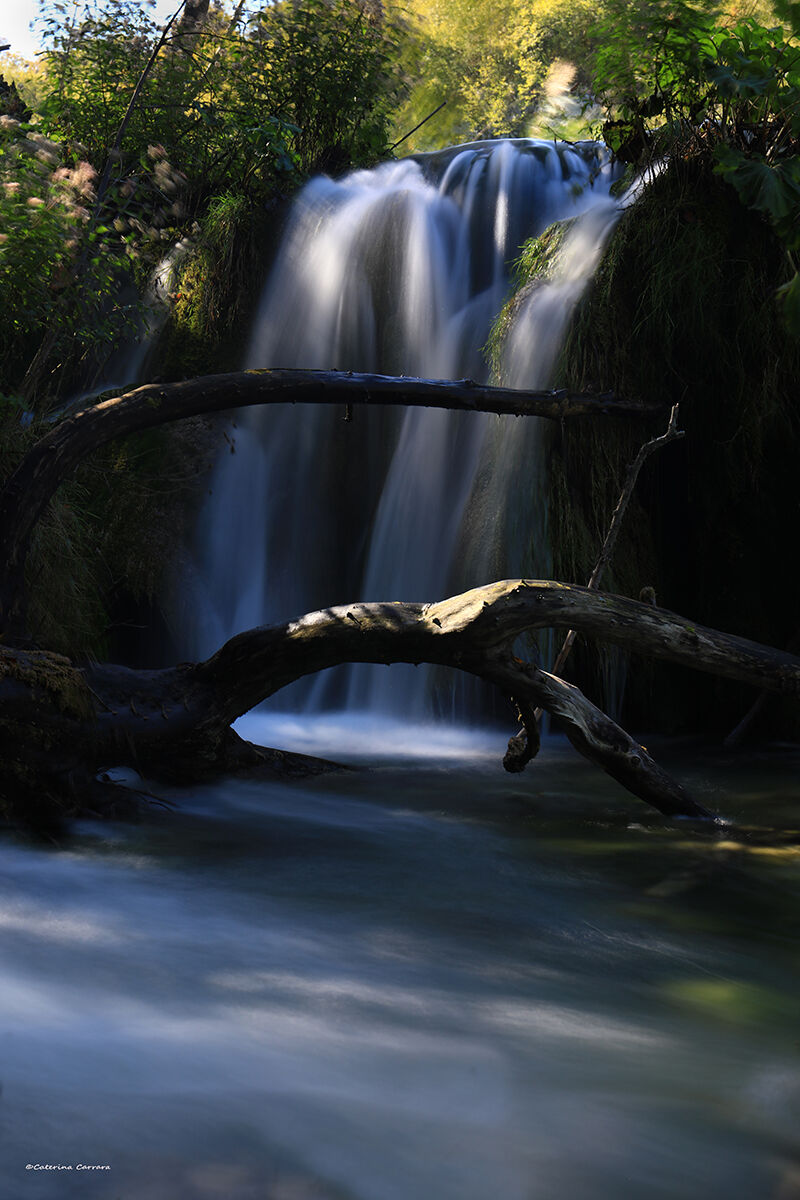 La bellezza della natura.
