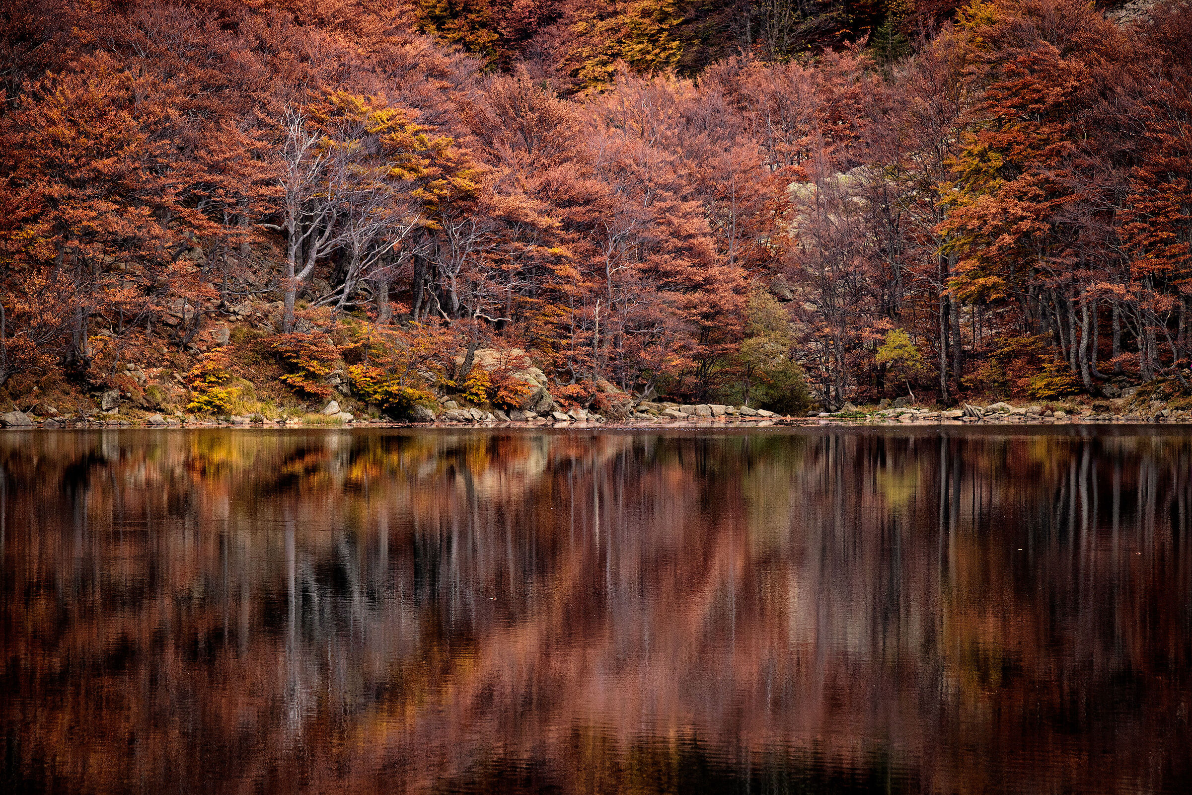 Colors and reflections