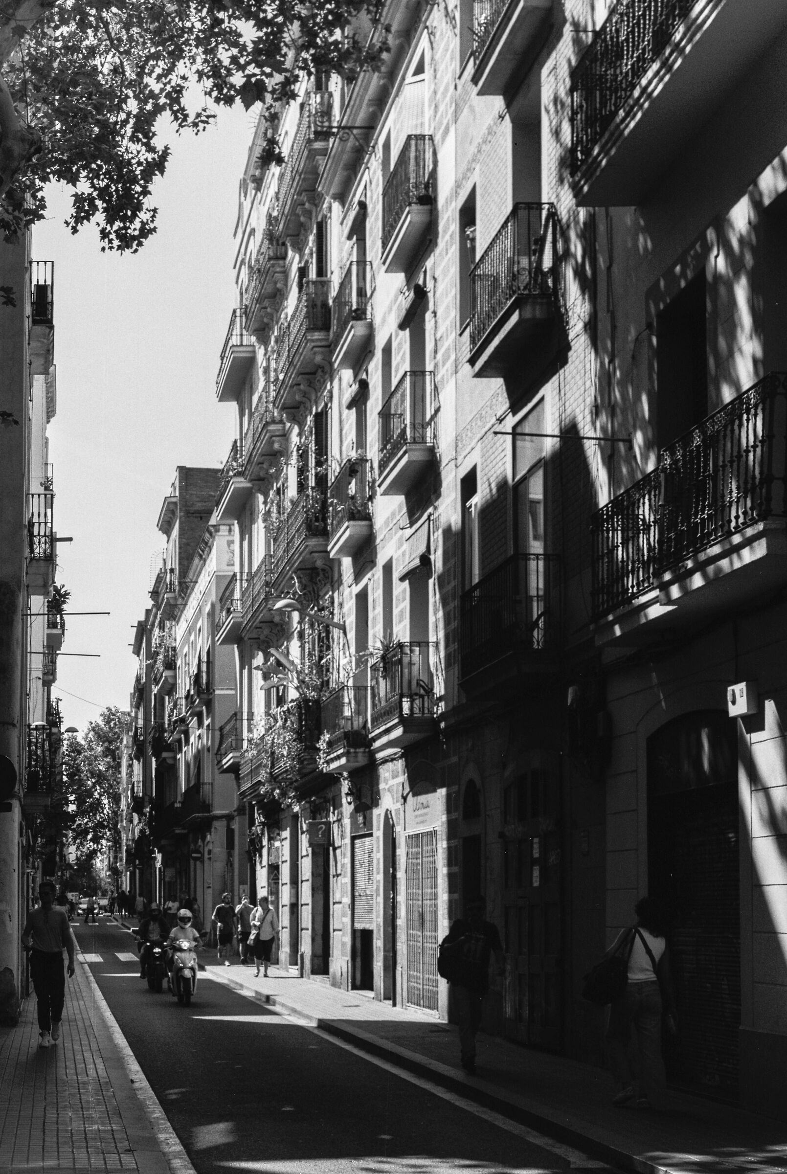 Tra le vie della città