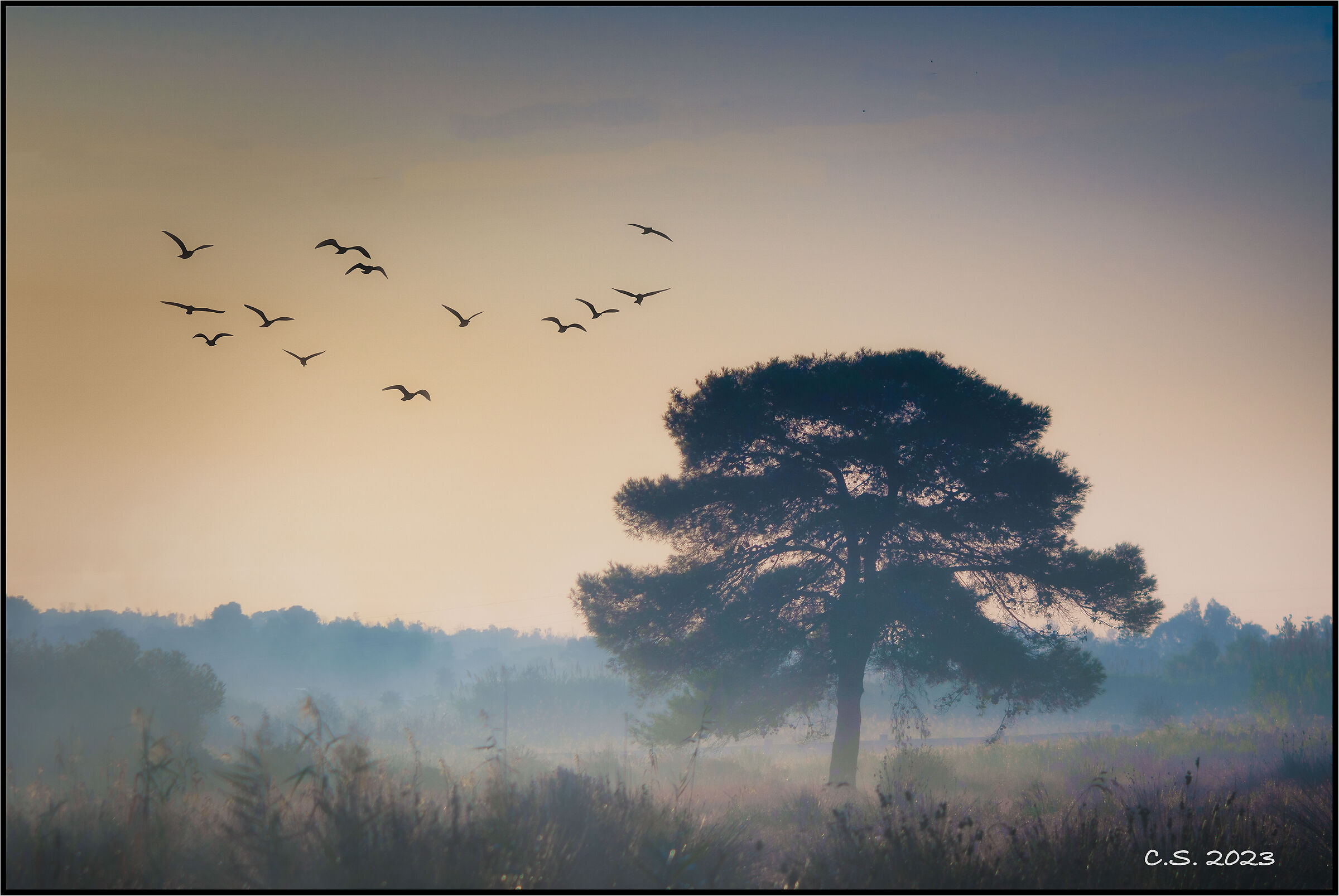 At sunrise