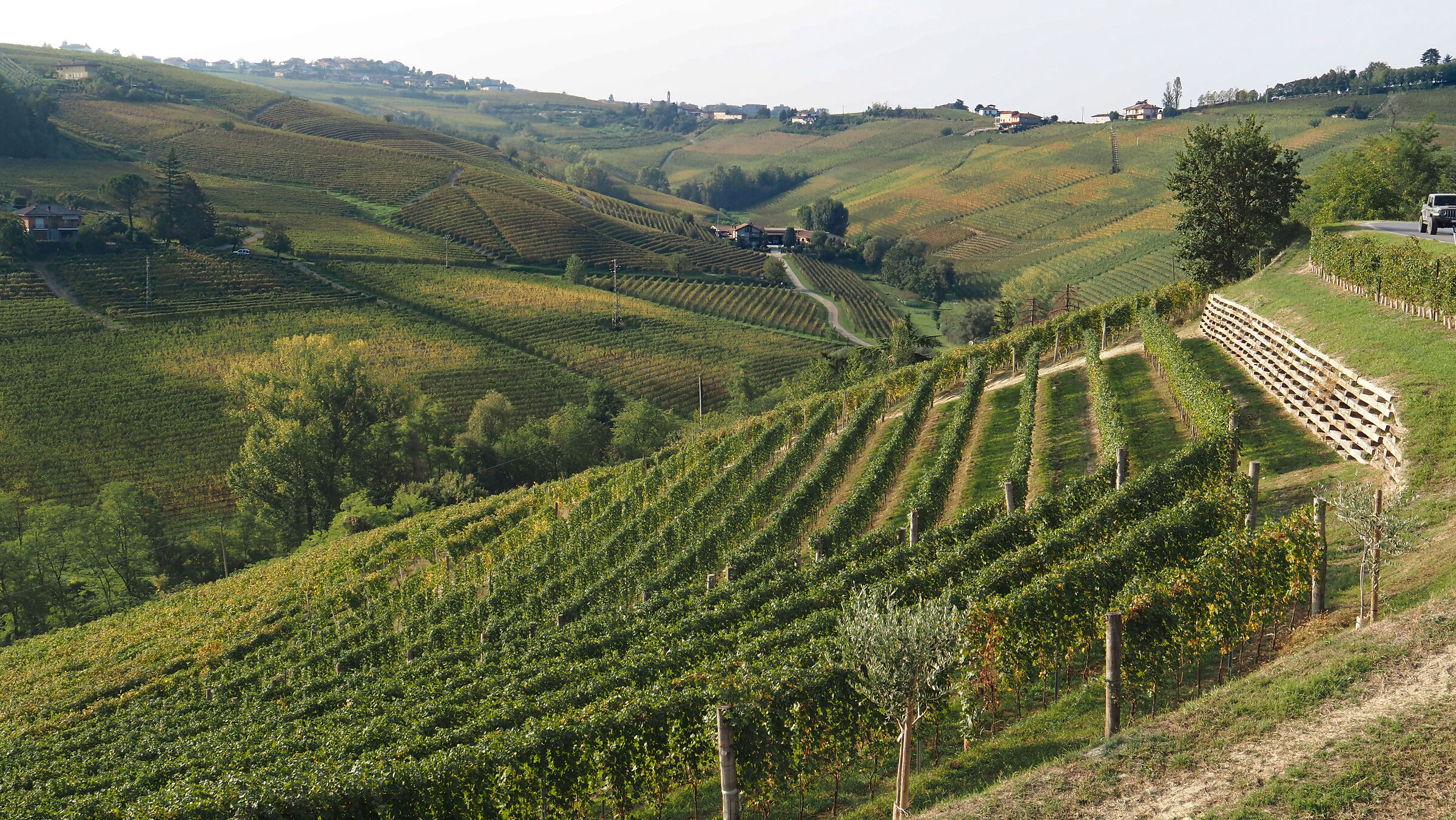 Langhe-Piemonte