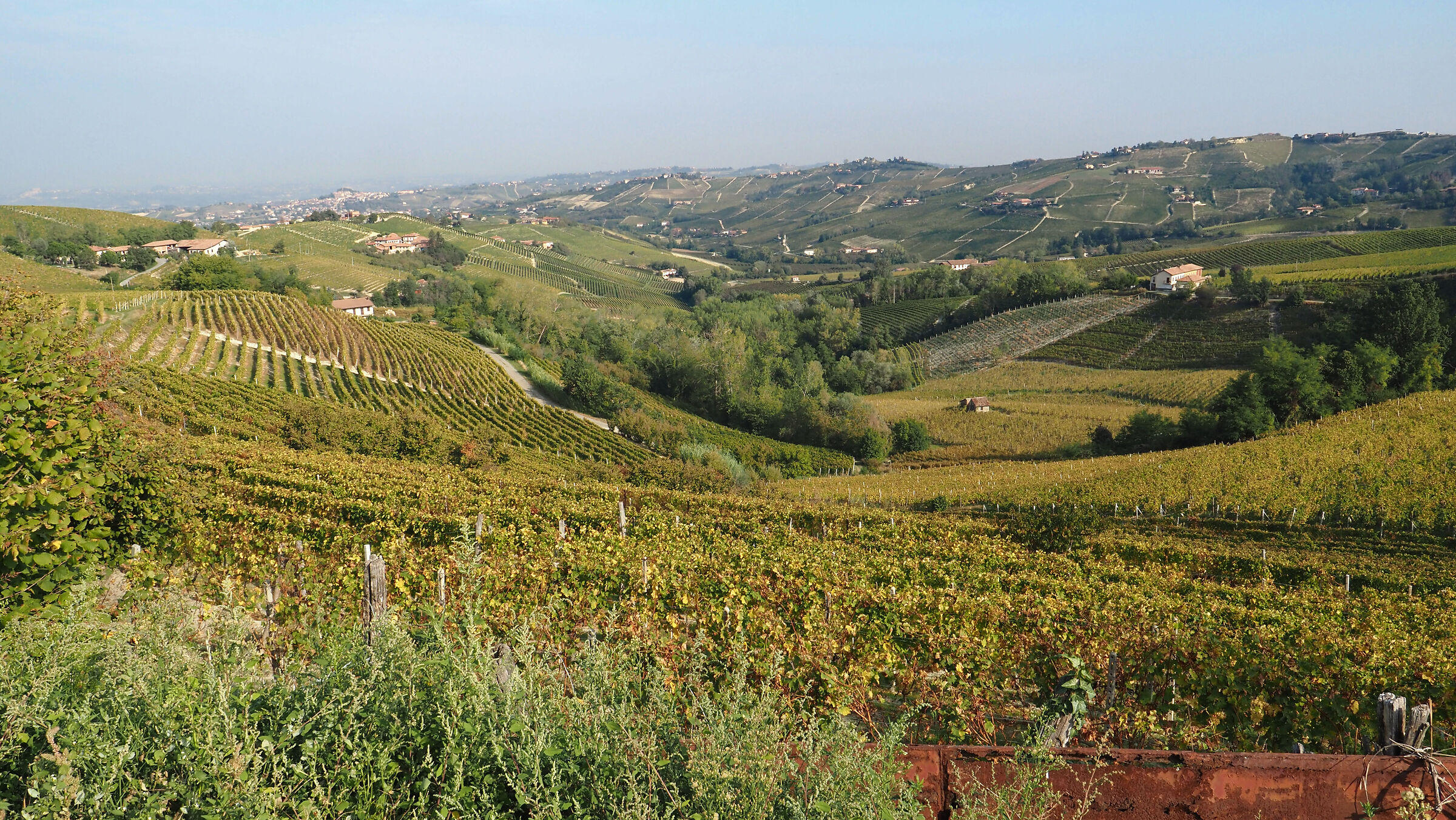 Langhe - Piemonte