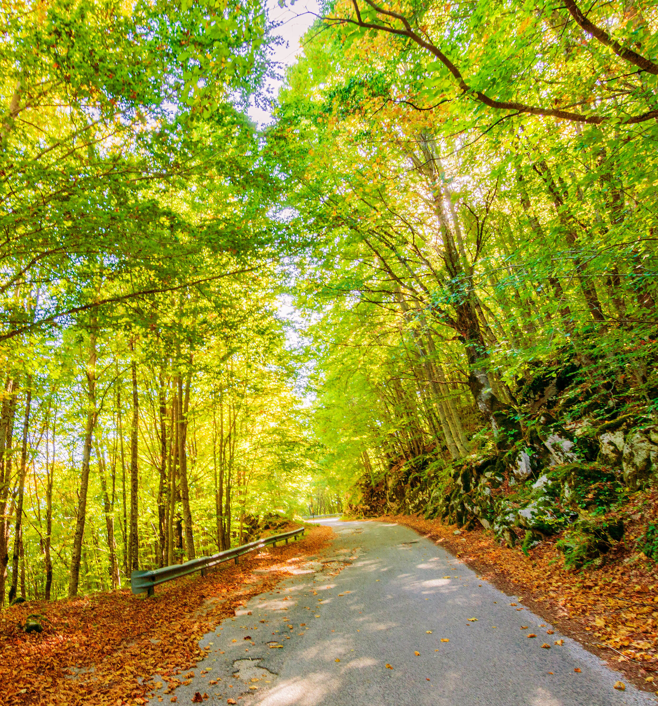 I colori dell' autunno 2023