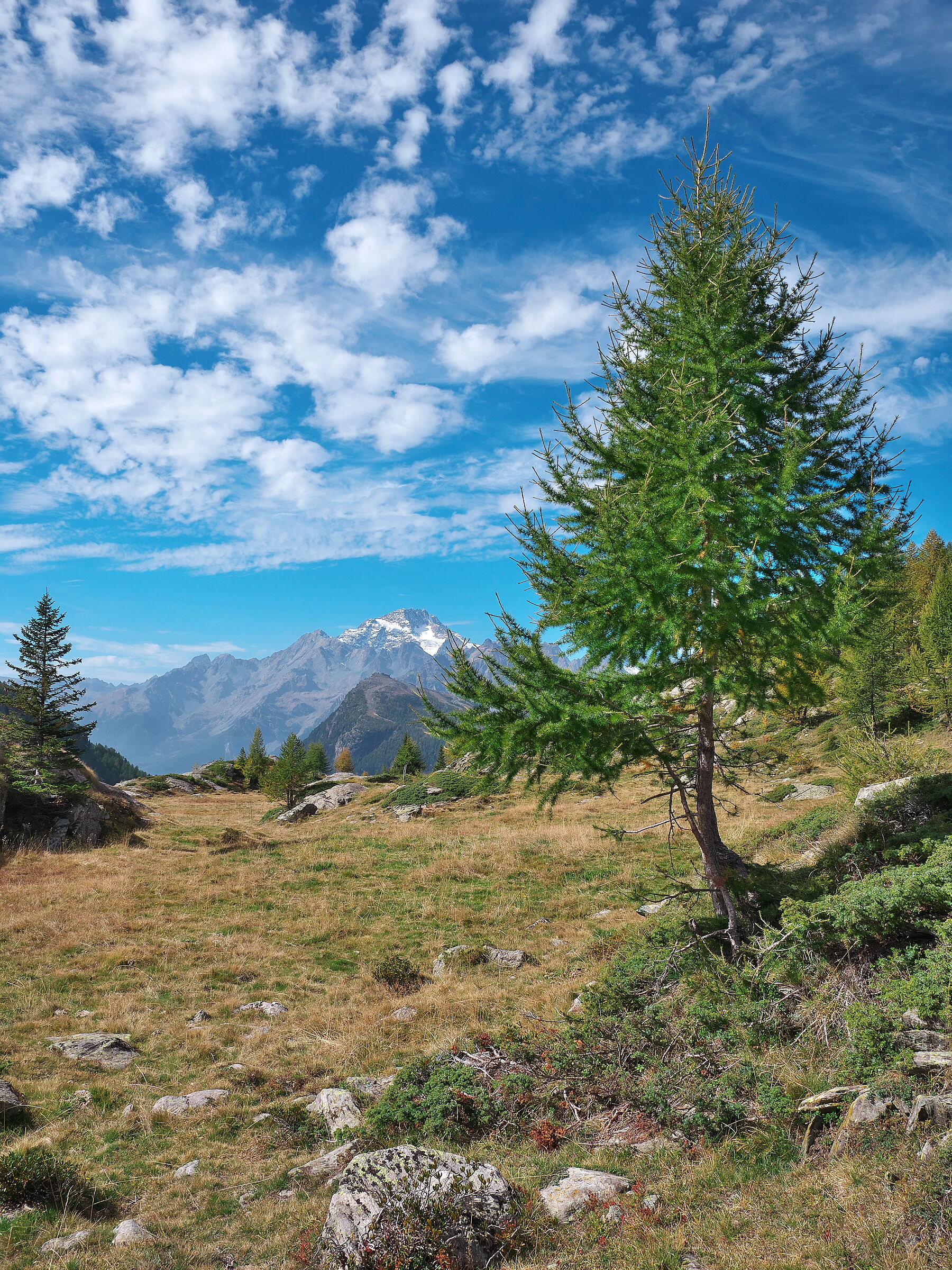 October in Valmalenco