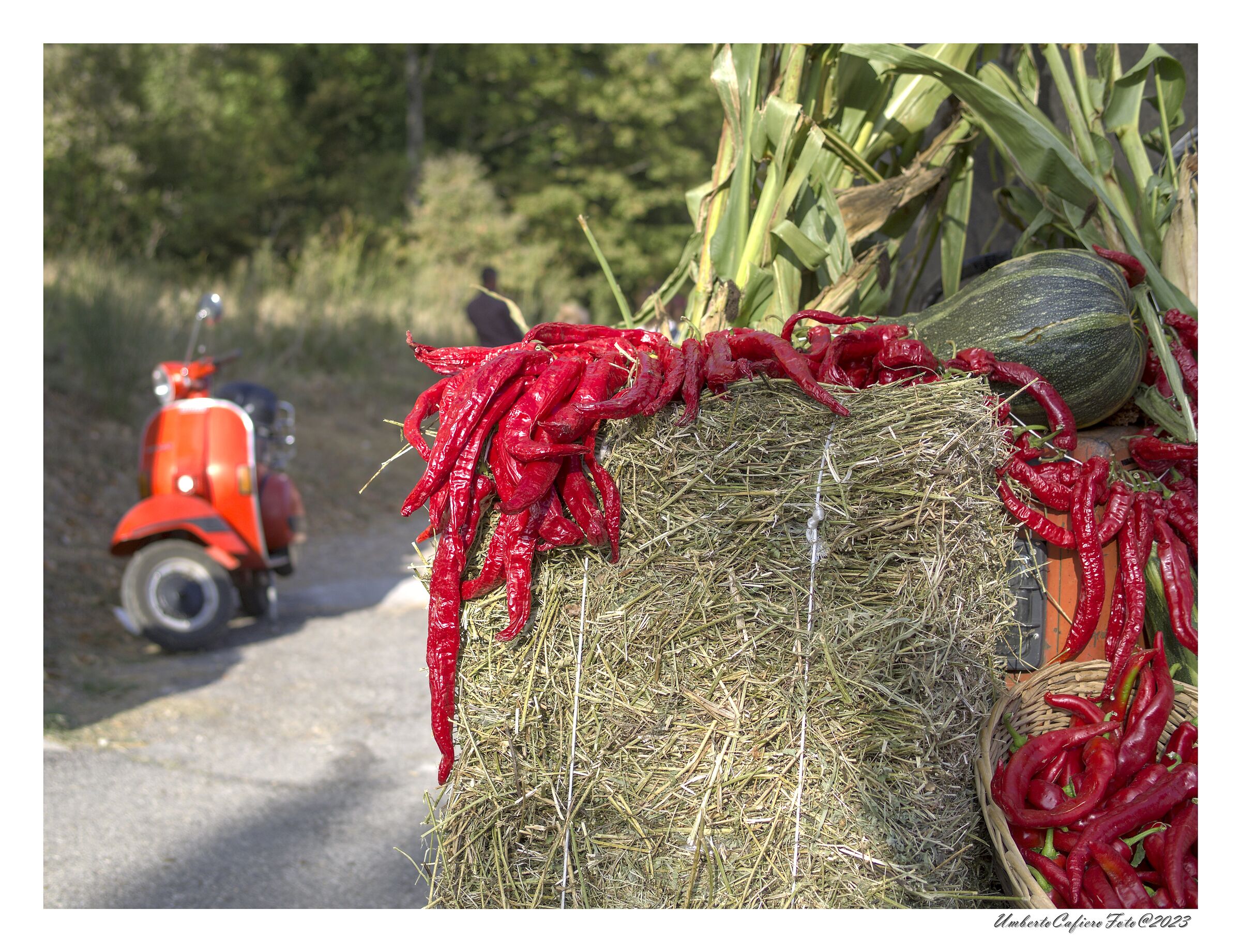 Sagre autunnali lucane 2