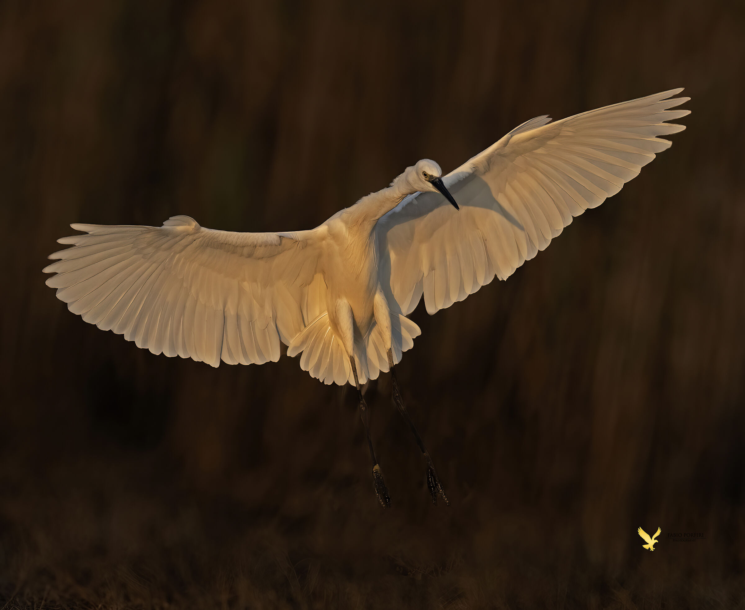 Landing at sunset