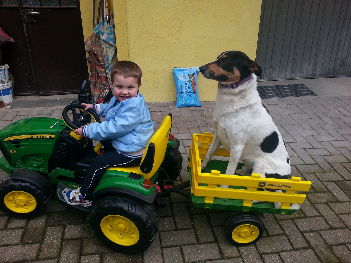 trasporto eccezzionale!!!!