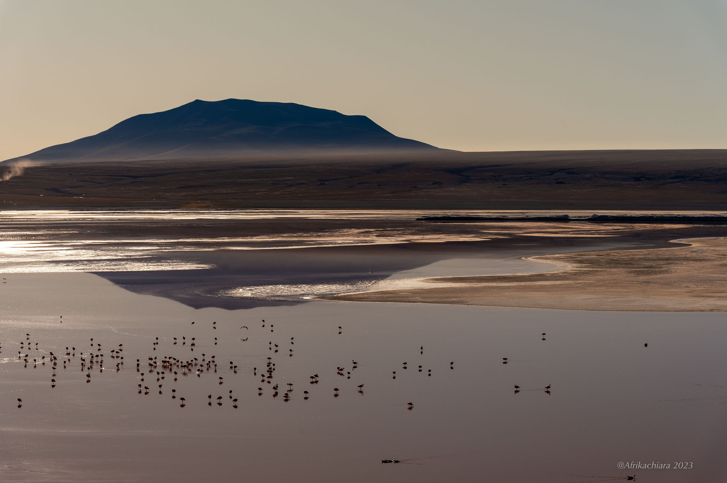 Laguna Colorada