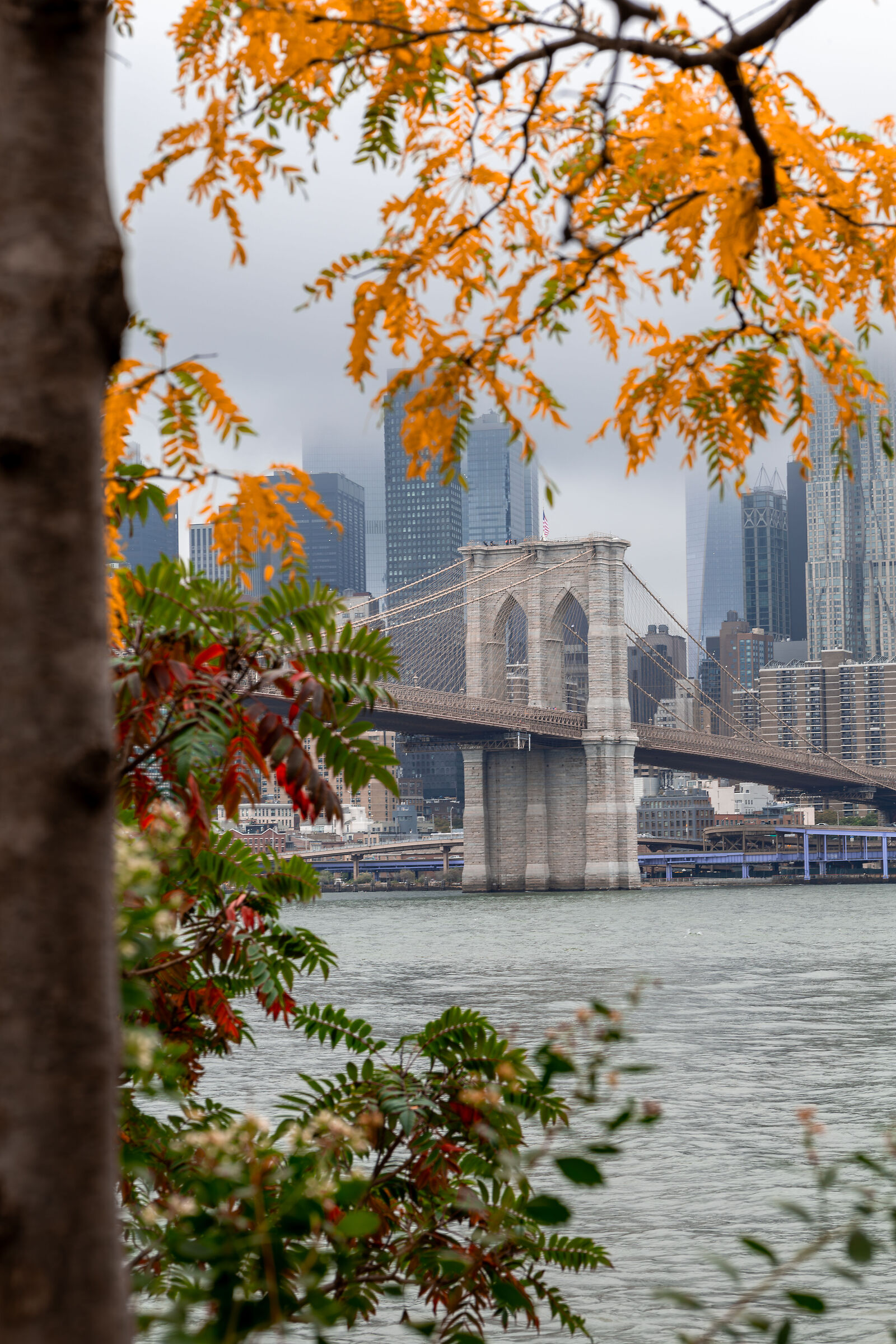 autunno con vista Brooklyn