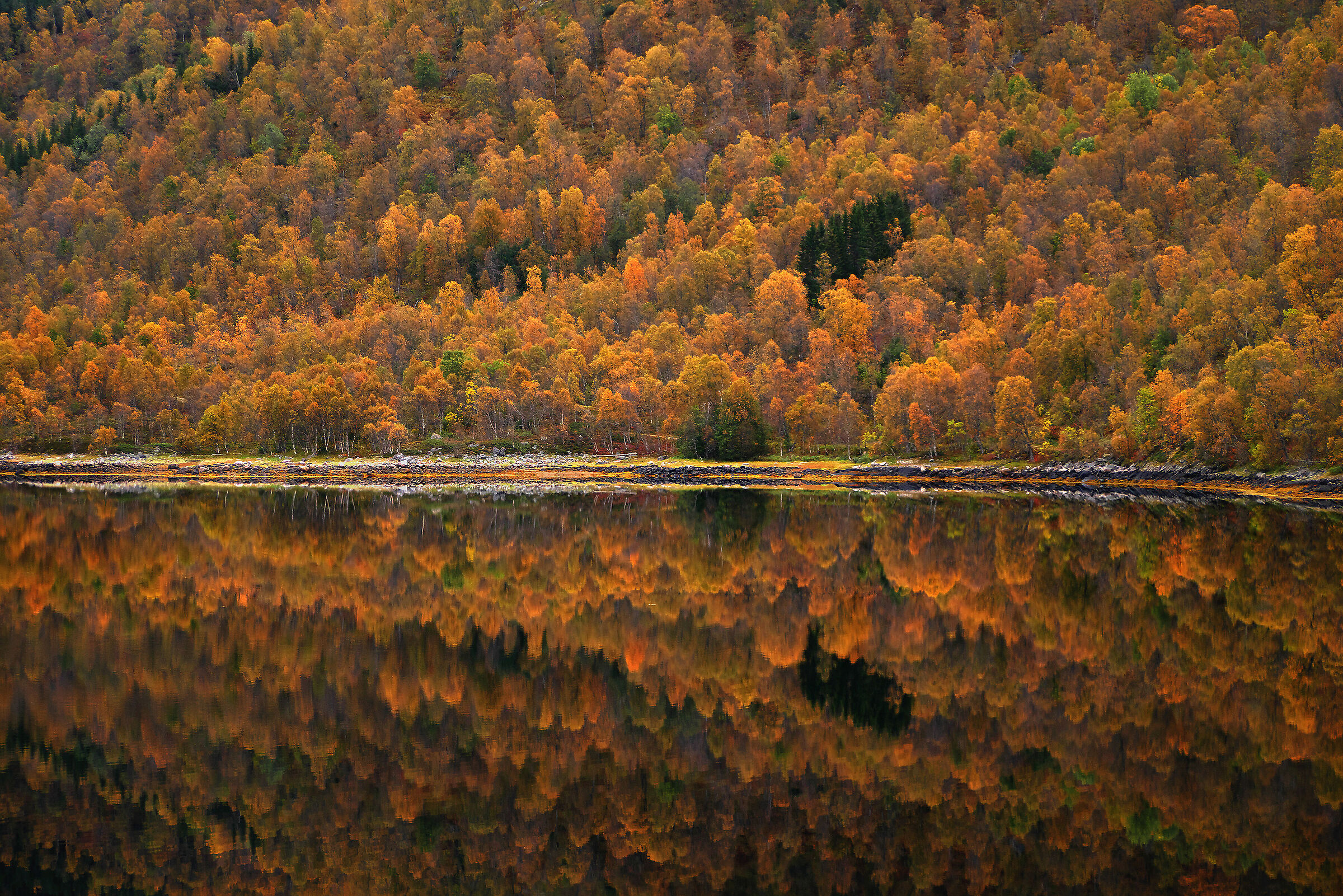 Autumn in Lofoten
