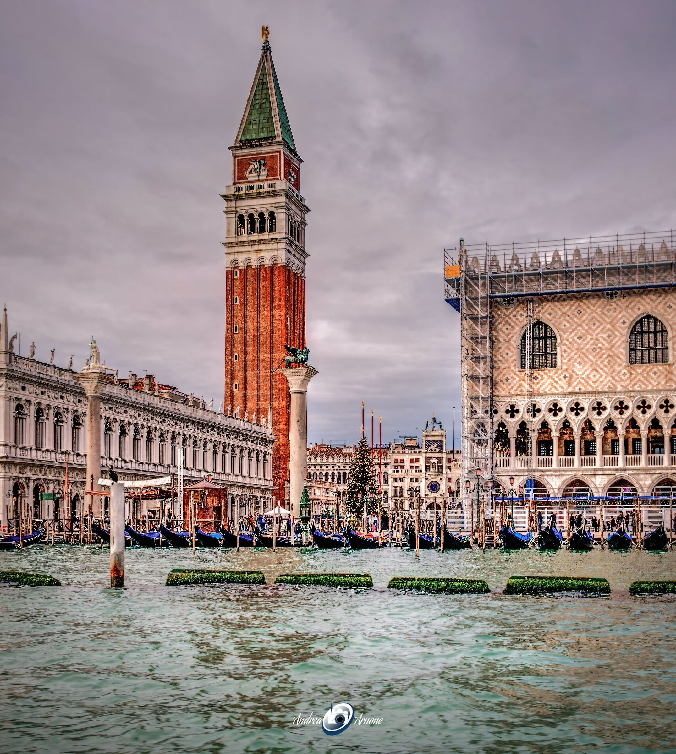 Piazza San Marco - Venezia
