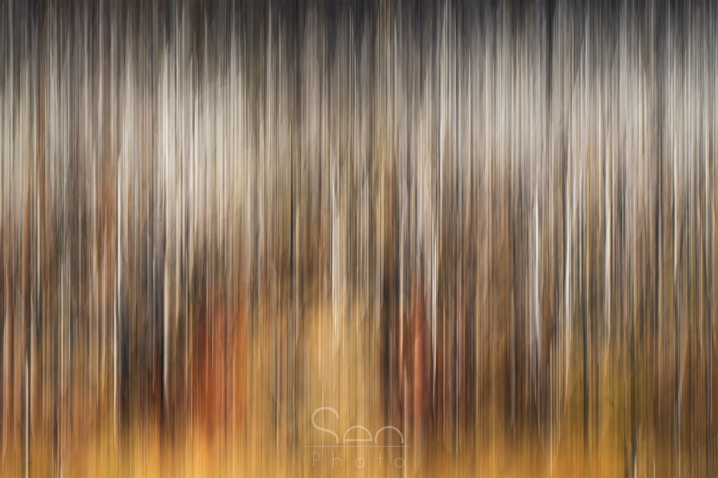 Untitled Photo