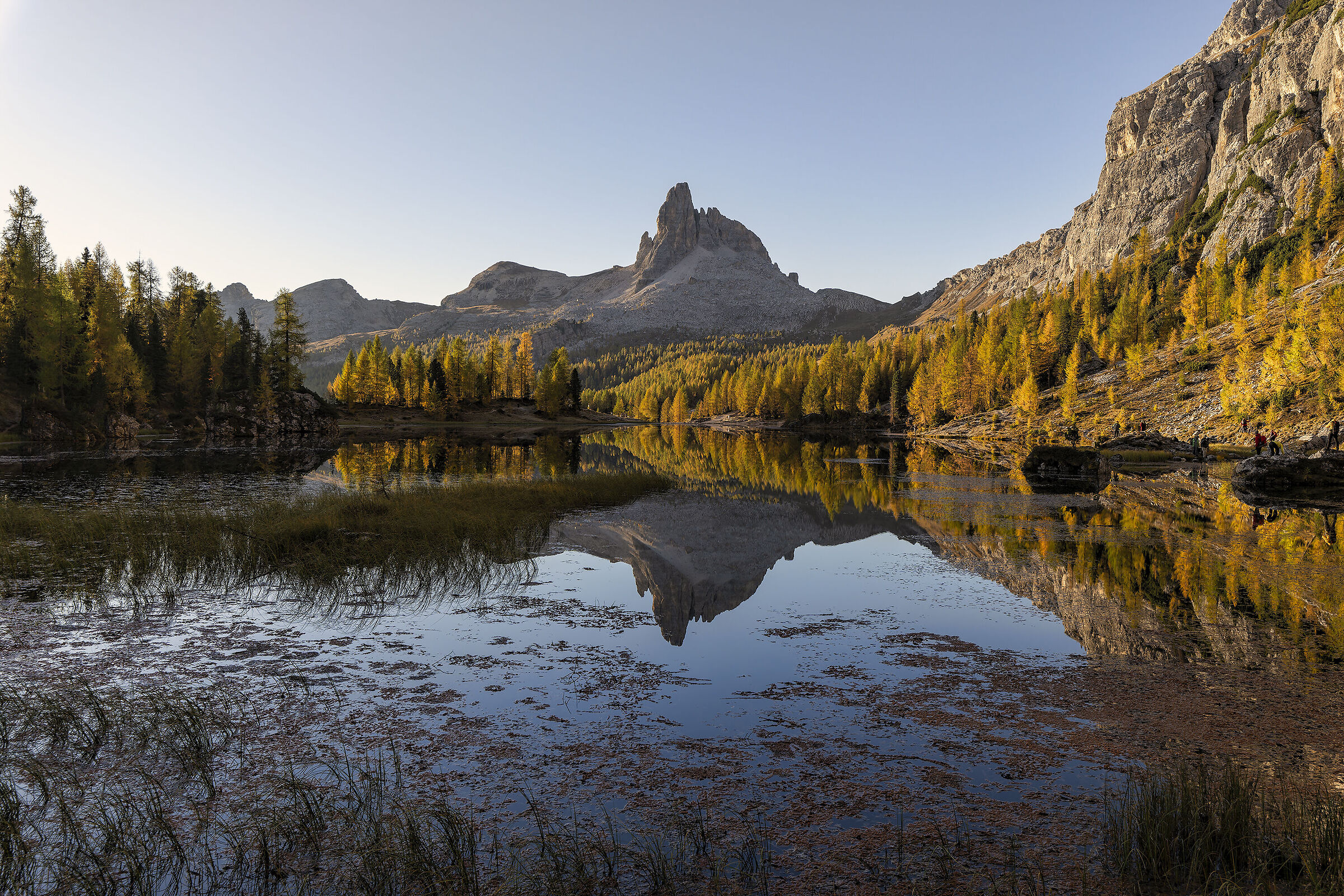 Noonday beak at Lake Federa