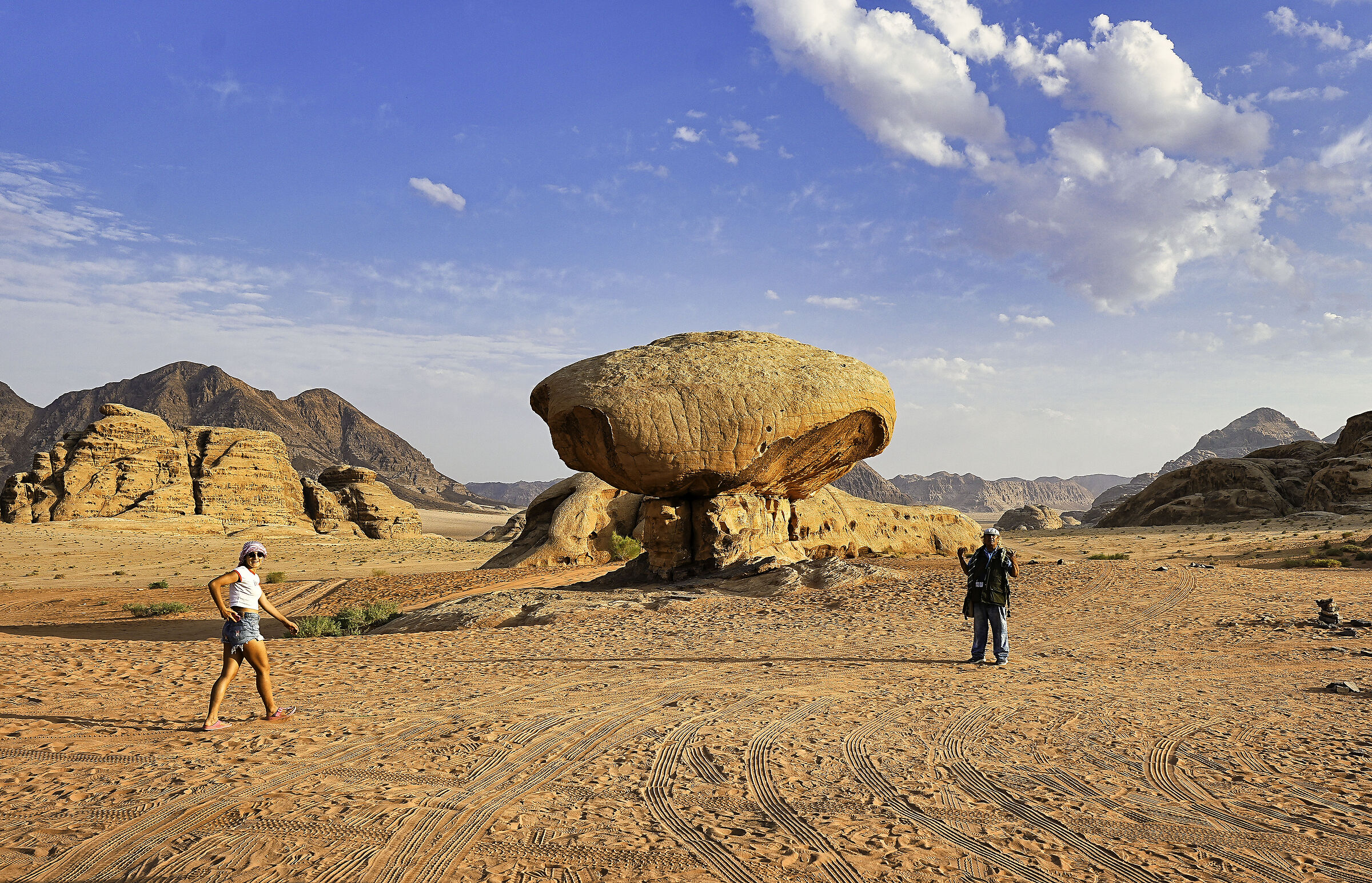 Mushroom in the desert (Wadi Rum)
