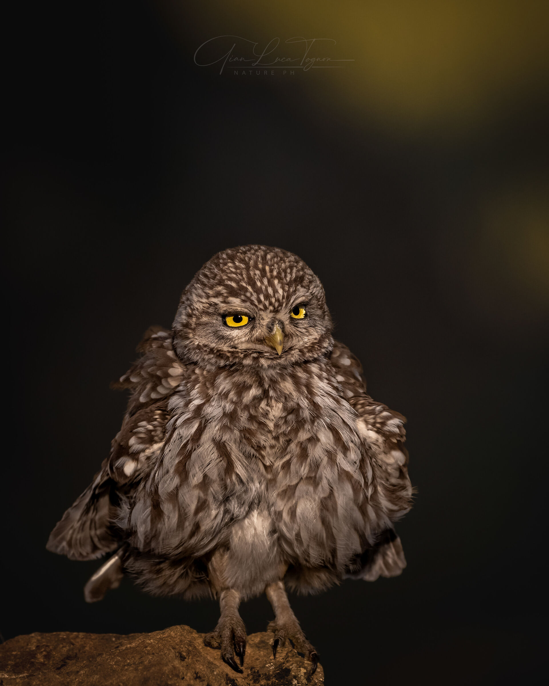 La notte è giovane e ha la gonna molto corta.