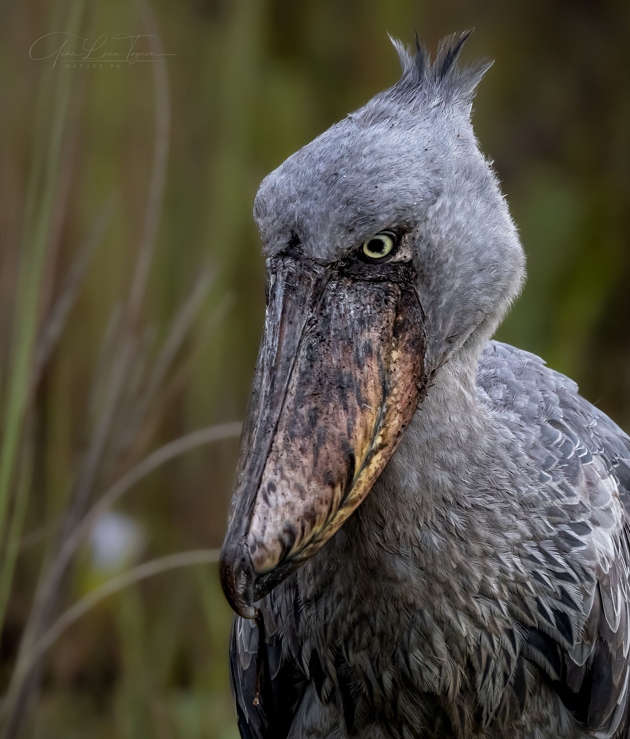 Gli occhi esprimono quello che le labbra non sono ...