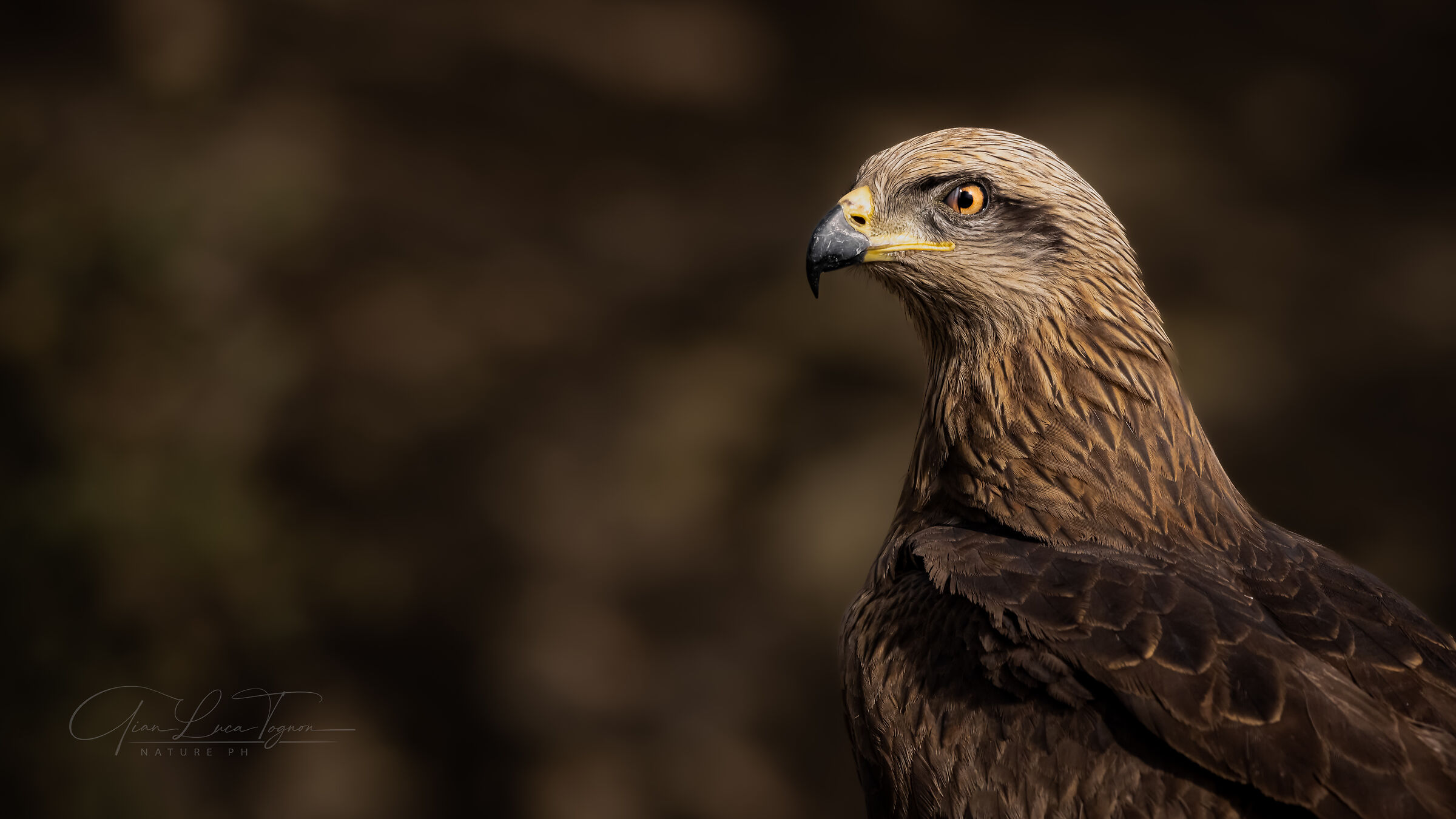 L'eleganza è seduzione, fascino, mistero. Non app...