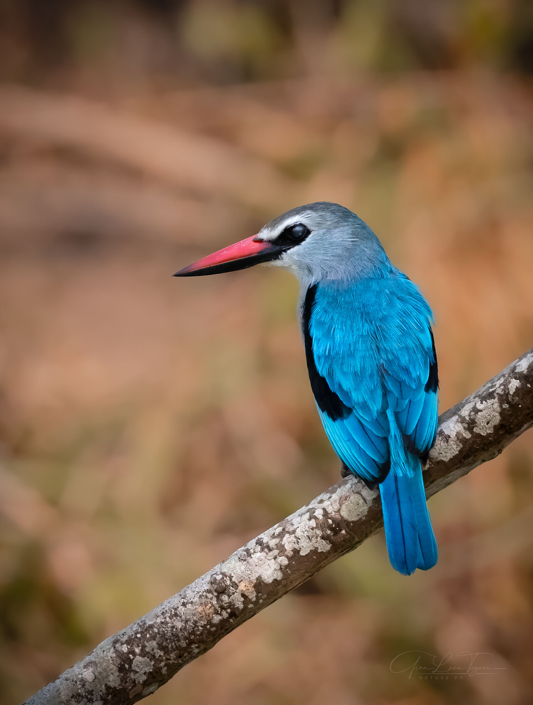 contrasti: freddo e caldo | contrasts: cold and heat