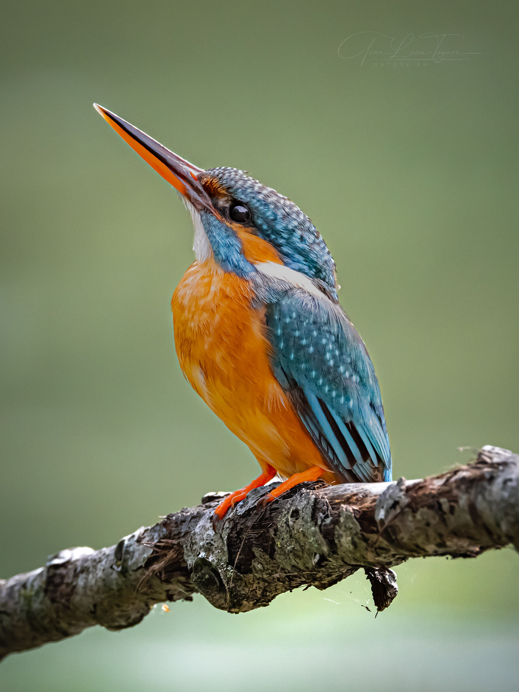 E poi non sapevo più cosa guardare e guardai il cielo