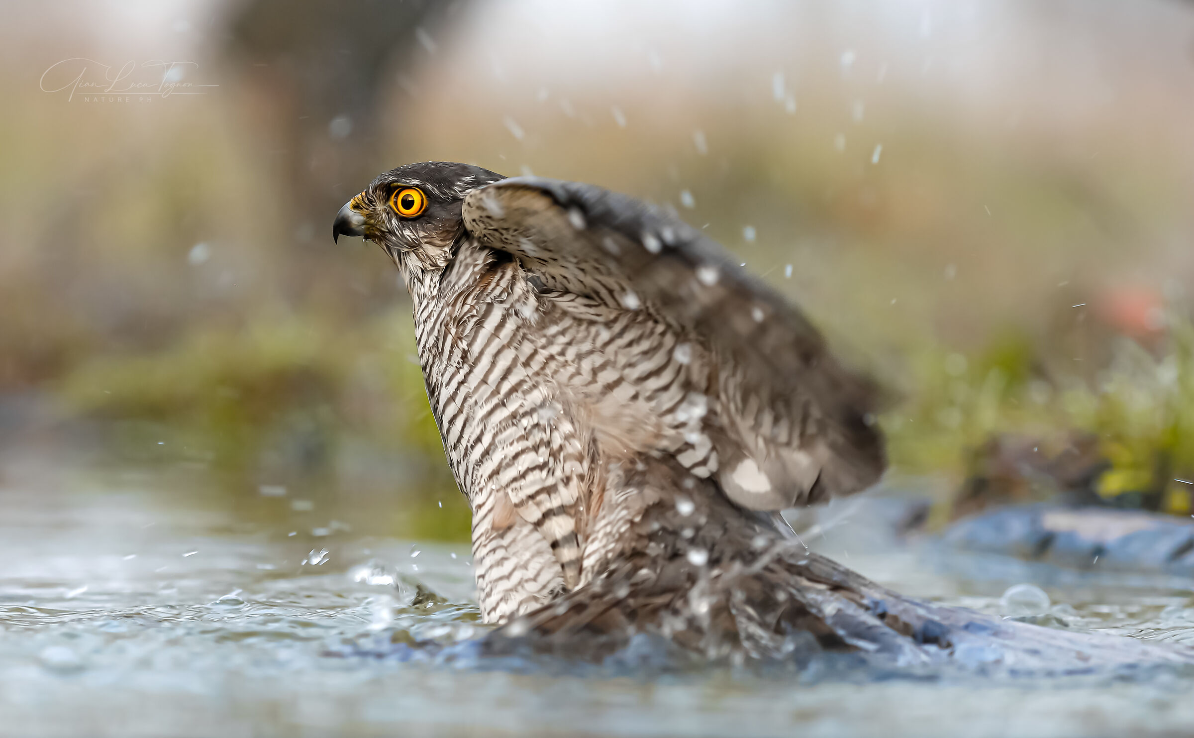 Sii dinamico, come la vita. Innova, crea, esplora.