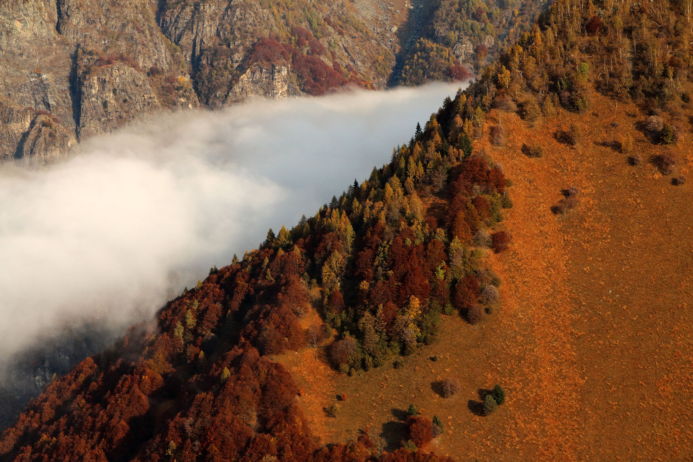 sferzate d'autunno