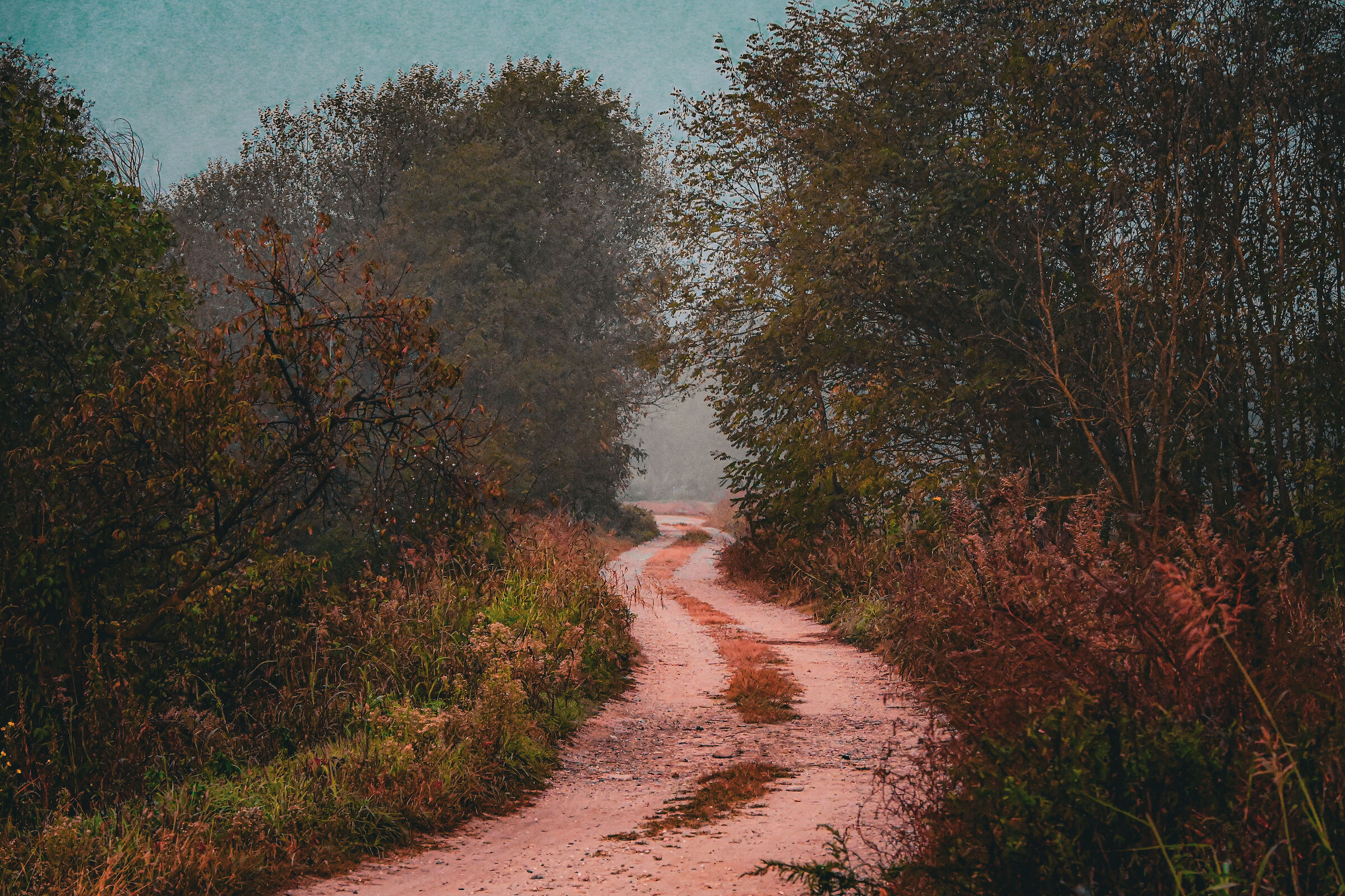 Gravel path