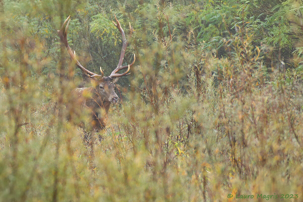 In una cornice naturale