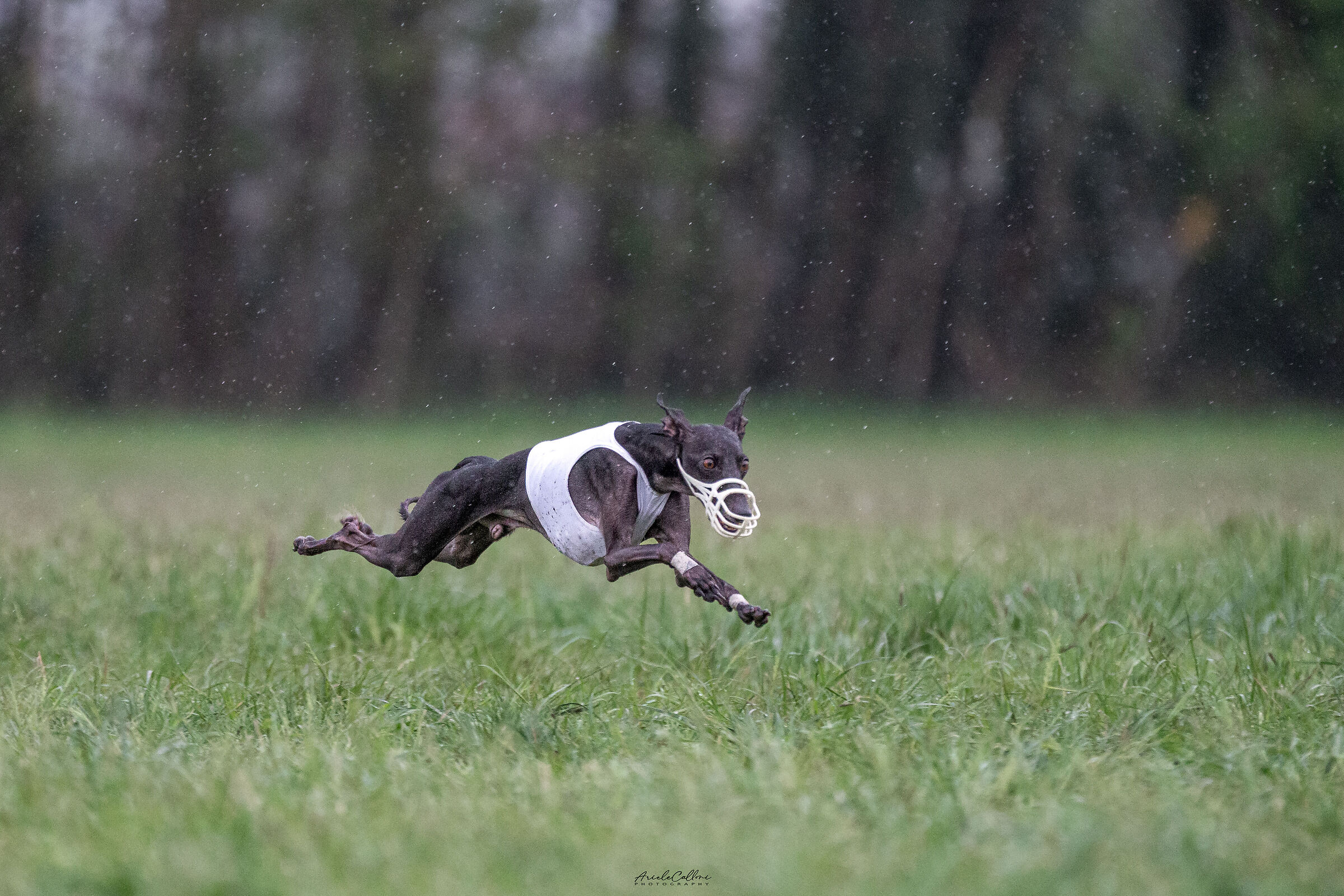 PLI in volo sotto la pioggia