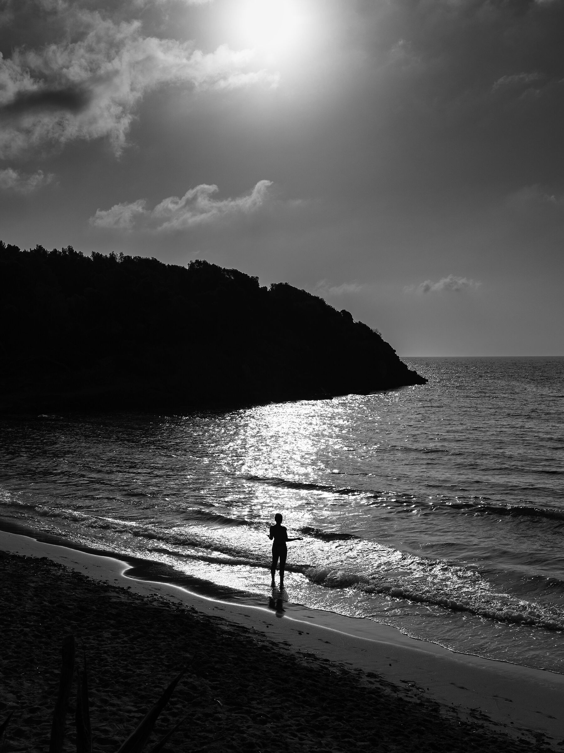 Untitled Photo
