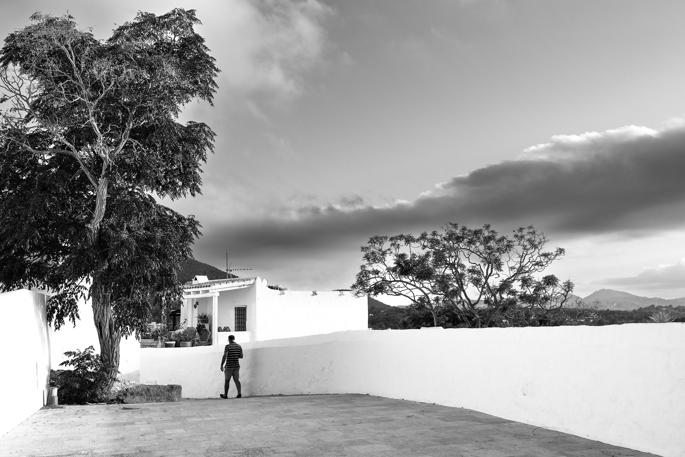Untitled Photo
