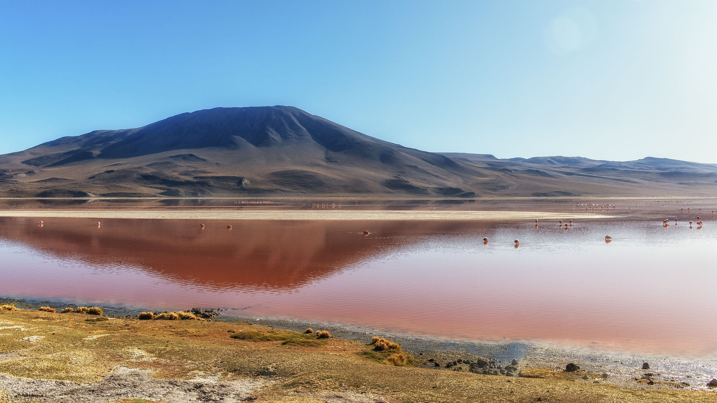 Laguna Colorada