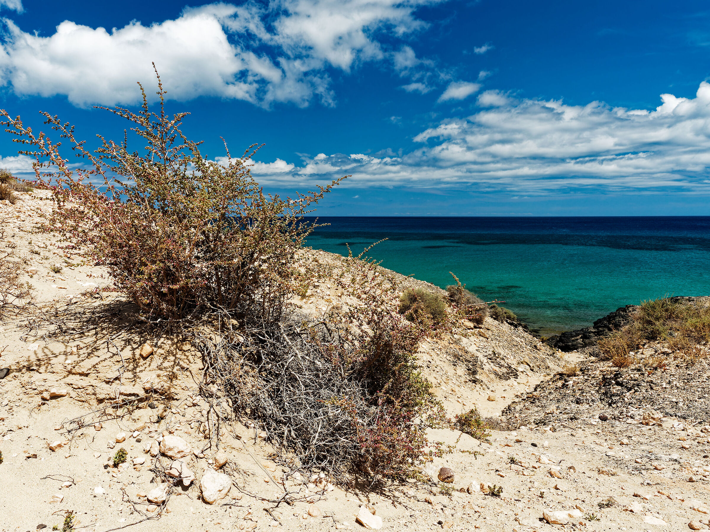 Fuerteventura XVII