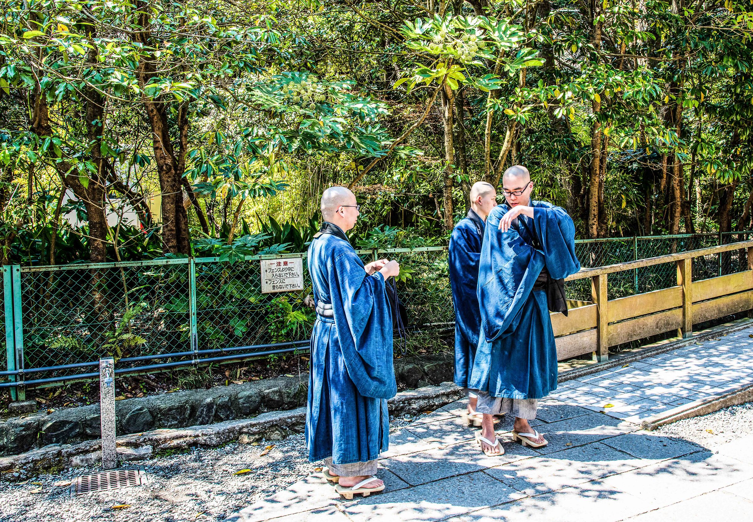 Kamakura - Tempio Hase Monk
