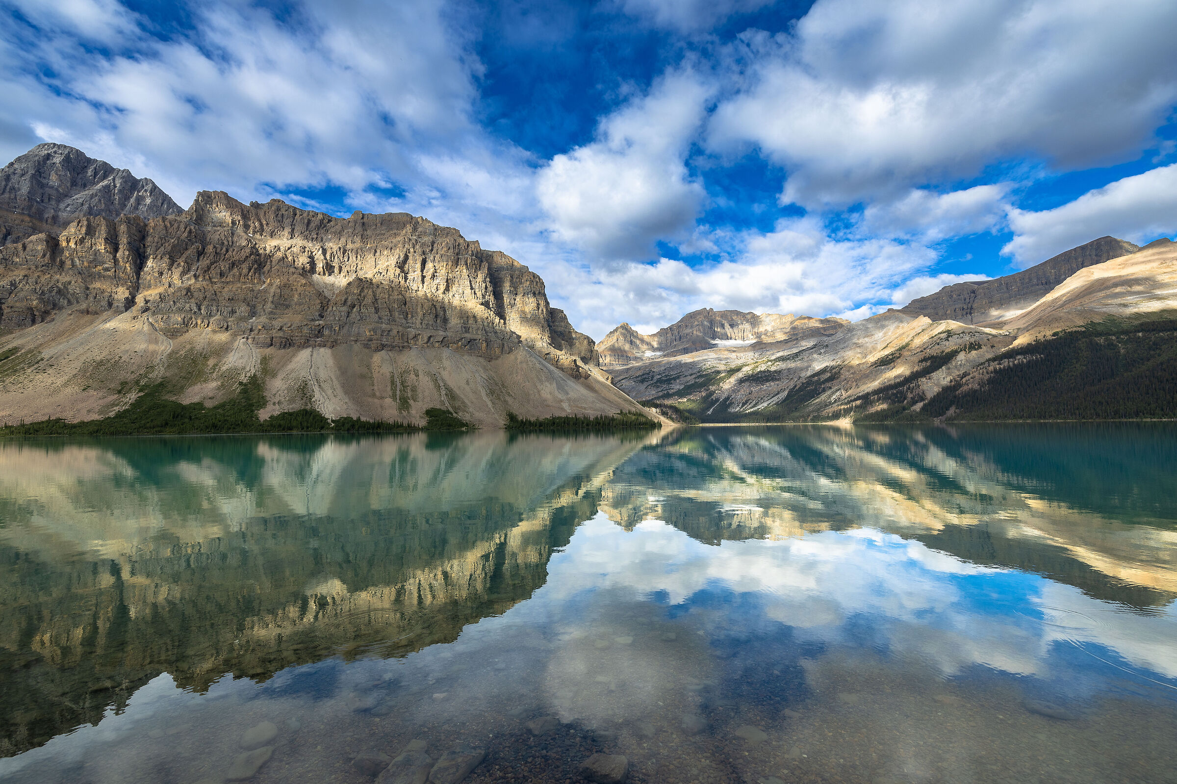 Bow Lake (Alberta)