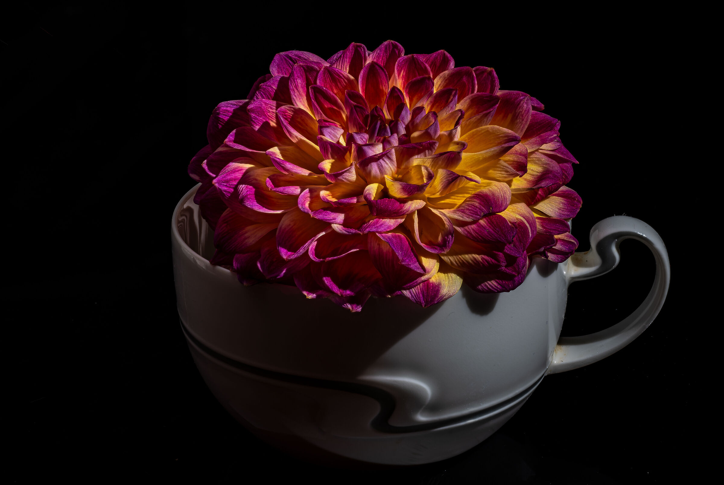 La tazza di Raimondo