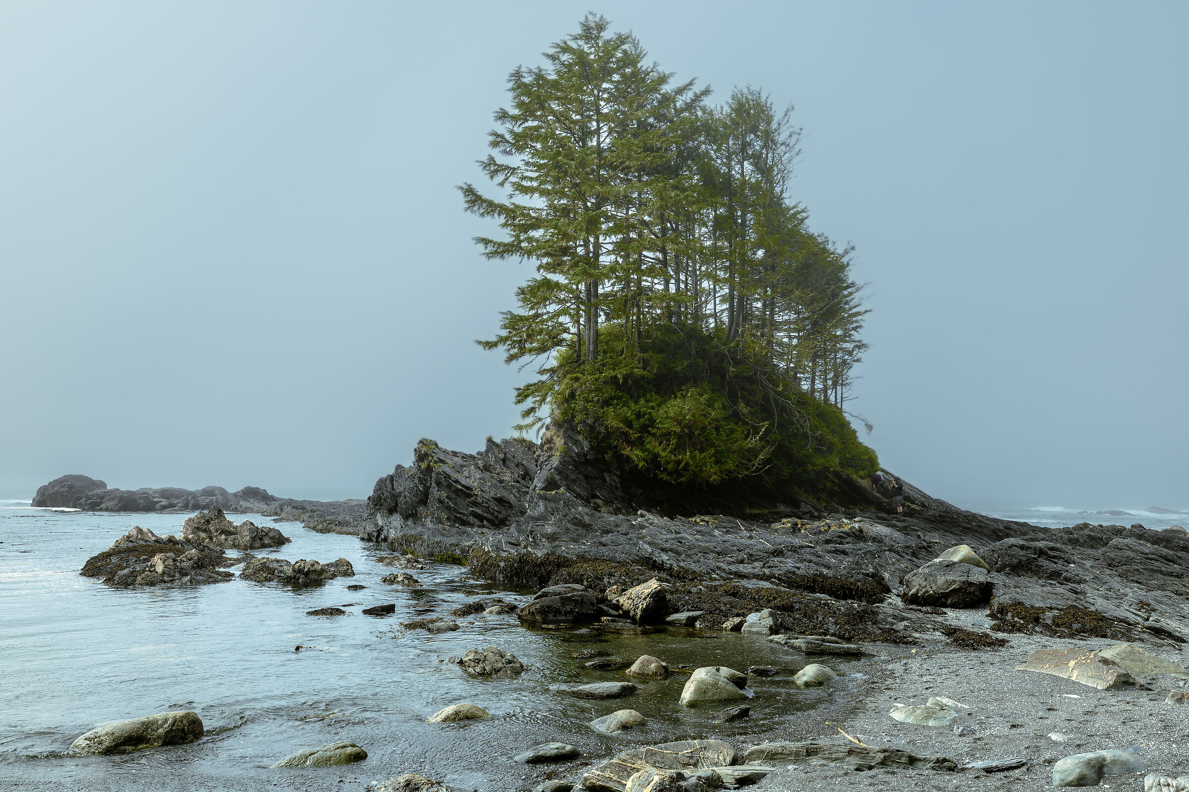 Ucluelet, Pacific Rim Vancouver