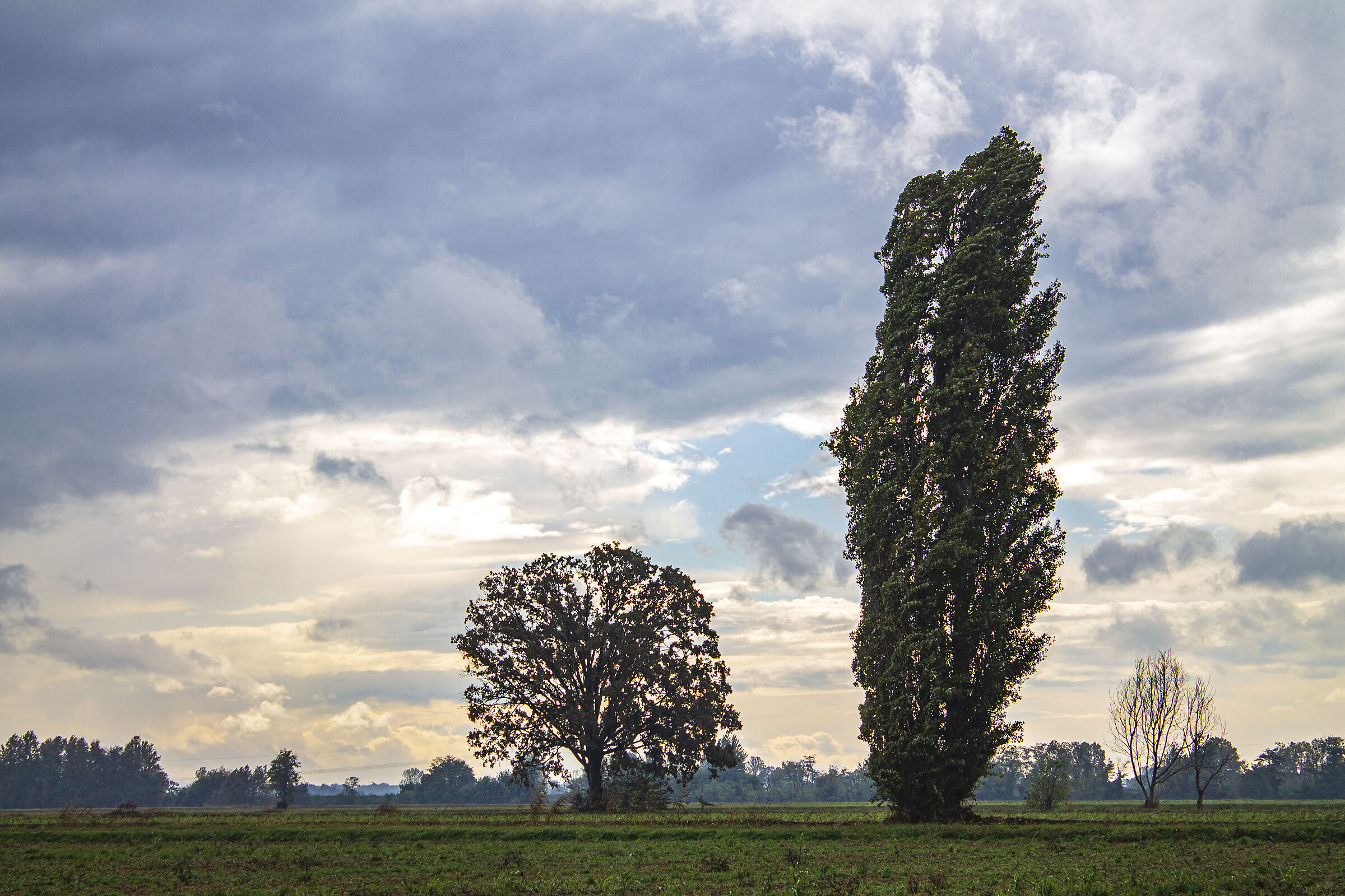 After the storm comes the sun