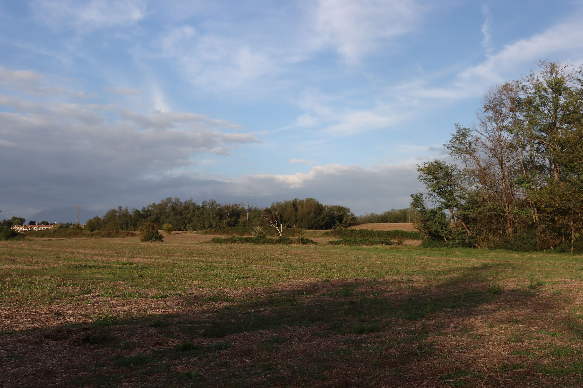 Parco Molgora