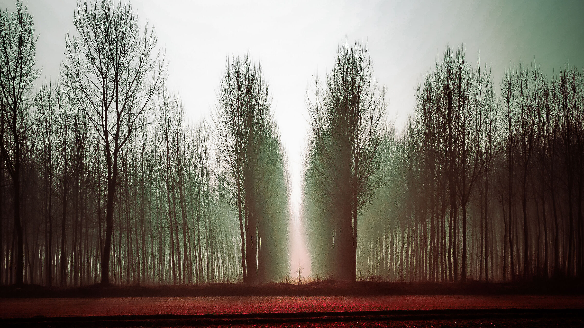 Experiments in the fog...