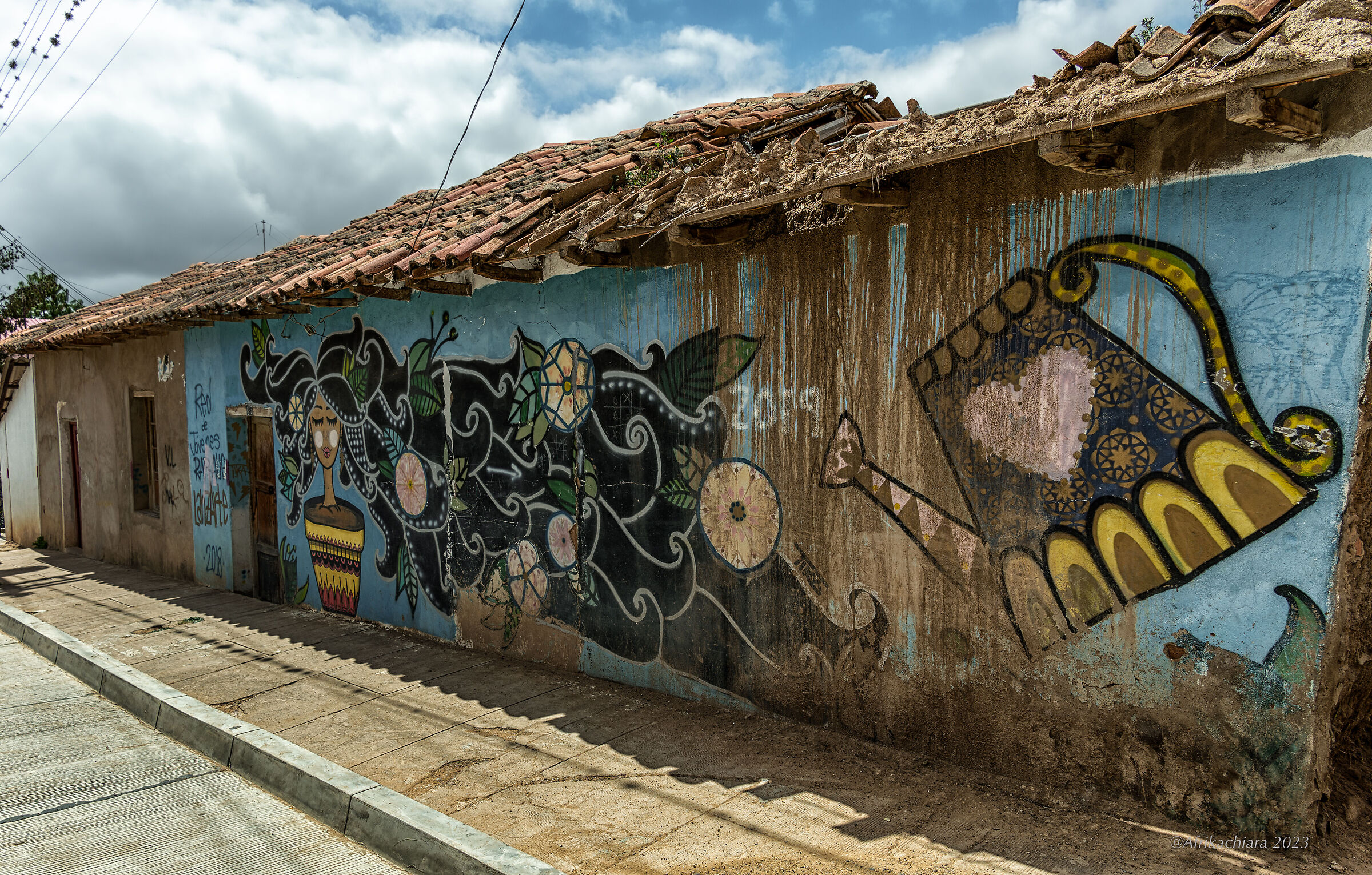 Beautiful... Bolivian Arts