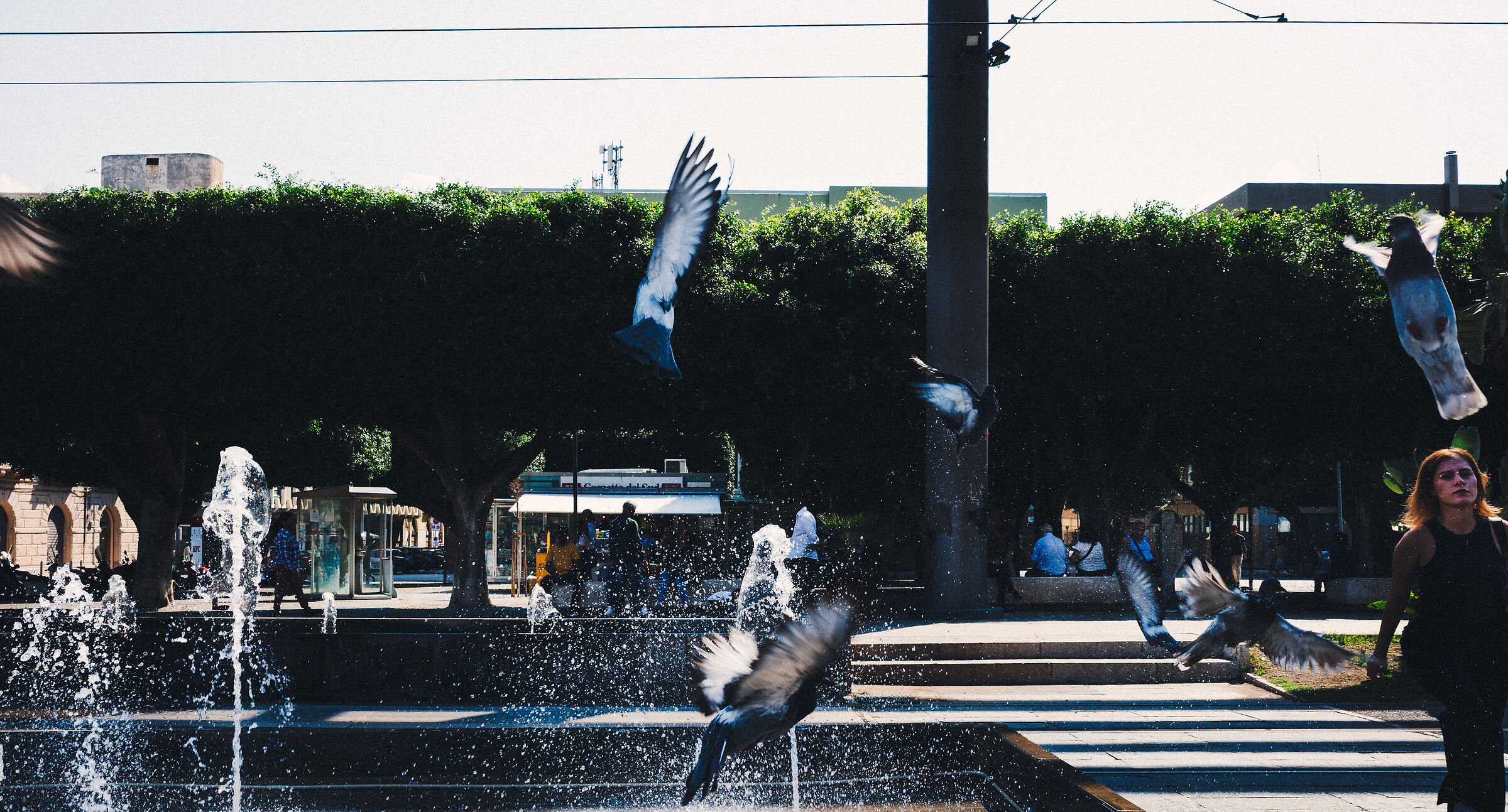 Untitled Photo