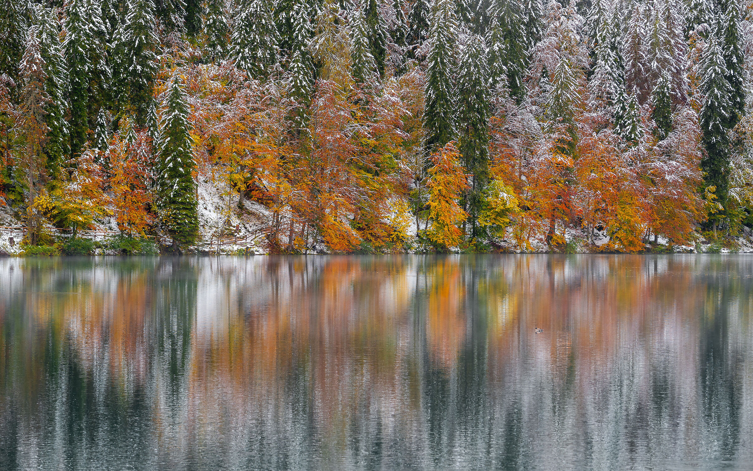 L'autunno incontra l'inverno