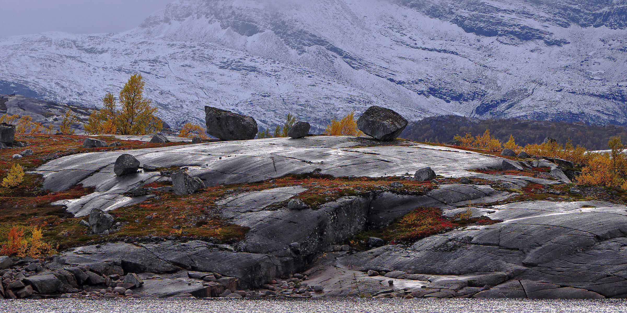 Where are they from?