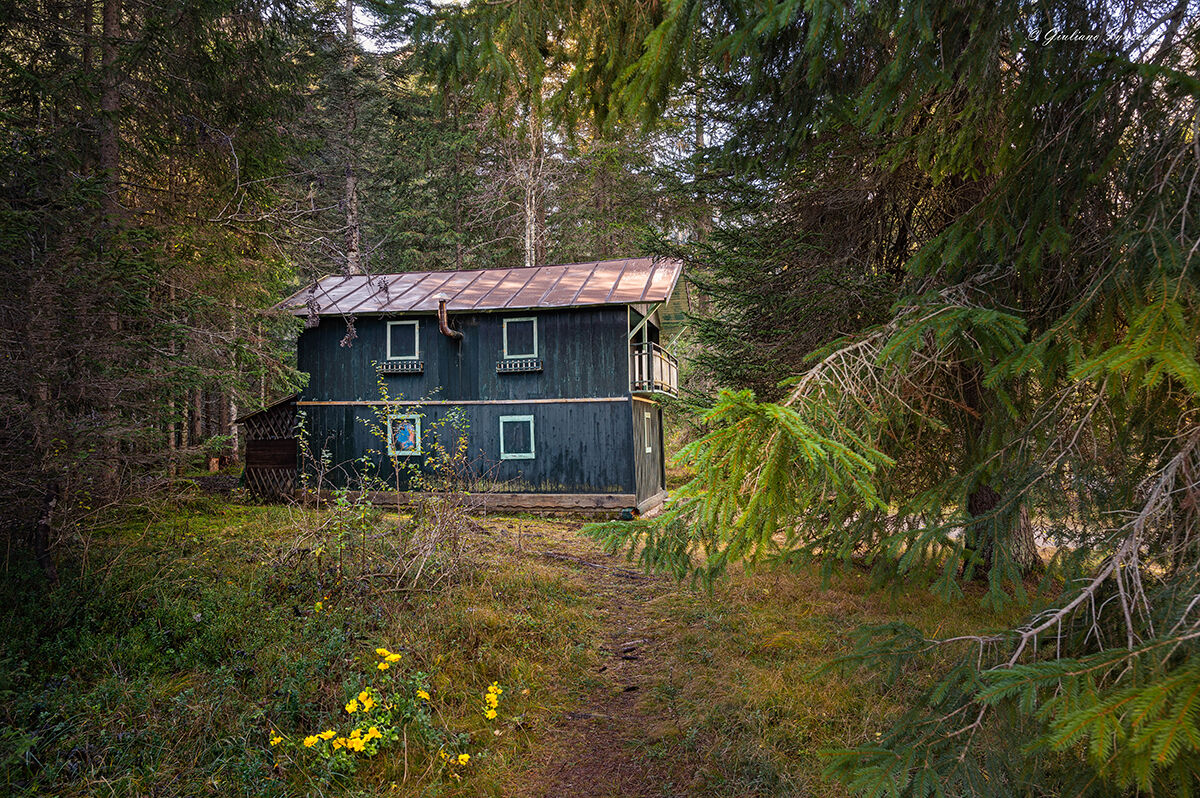 The House in the Woods