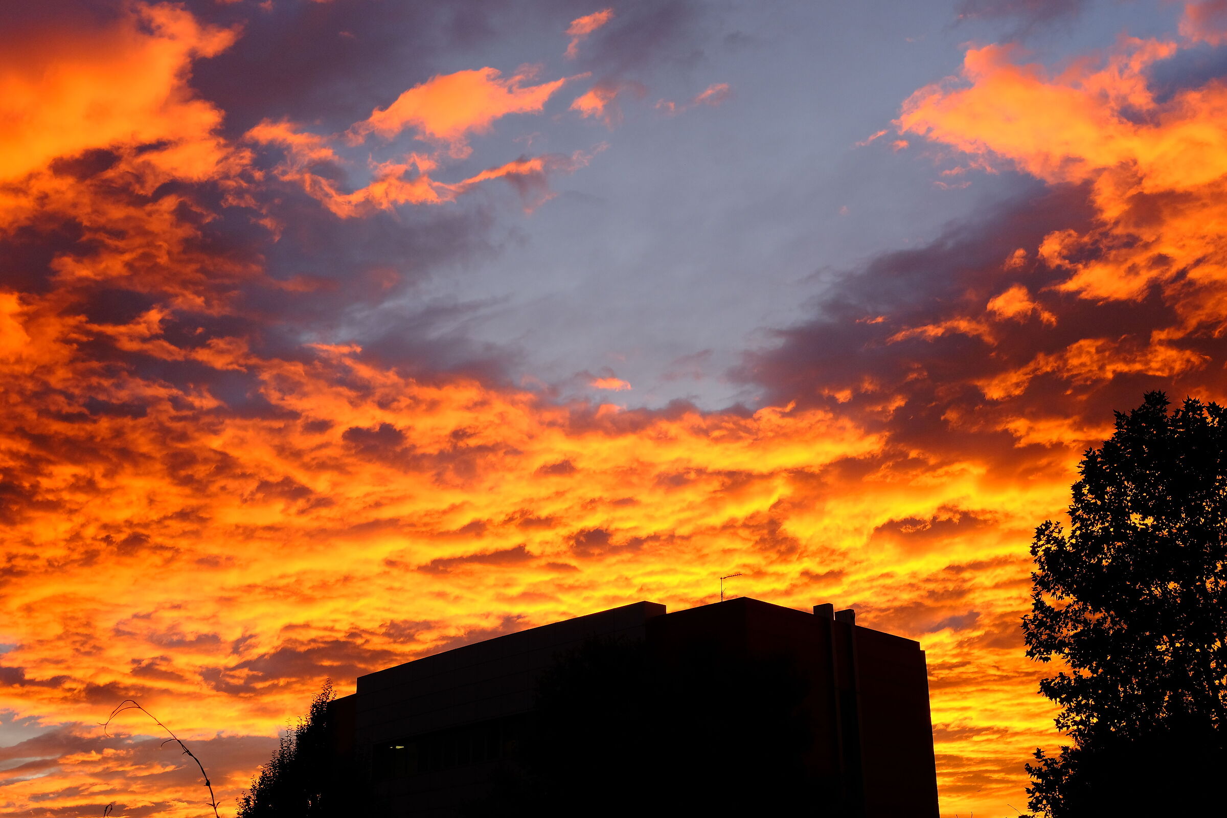 Il cielo del 20 ottobre al tramonto