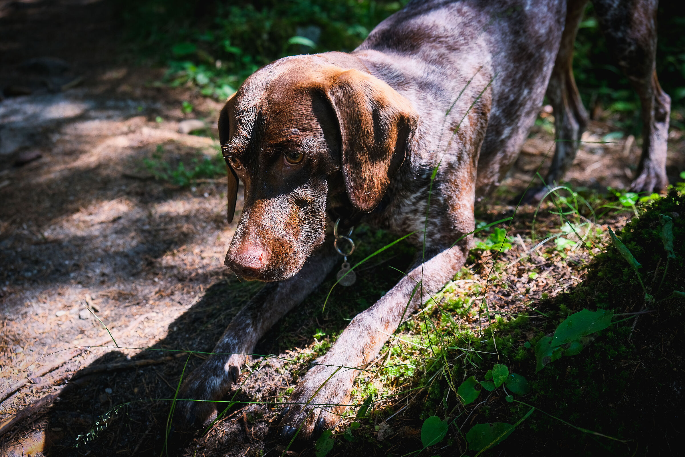 Kira in Val di Mello