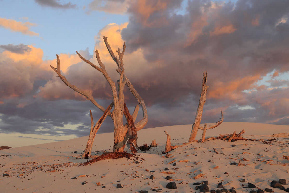 Namibia? No, Sardinia